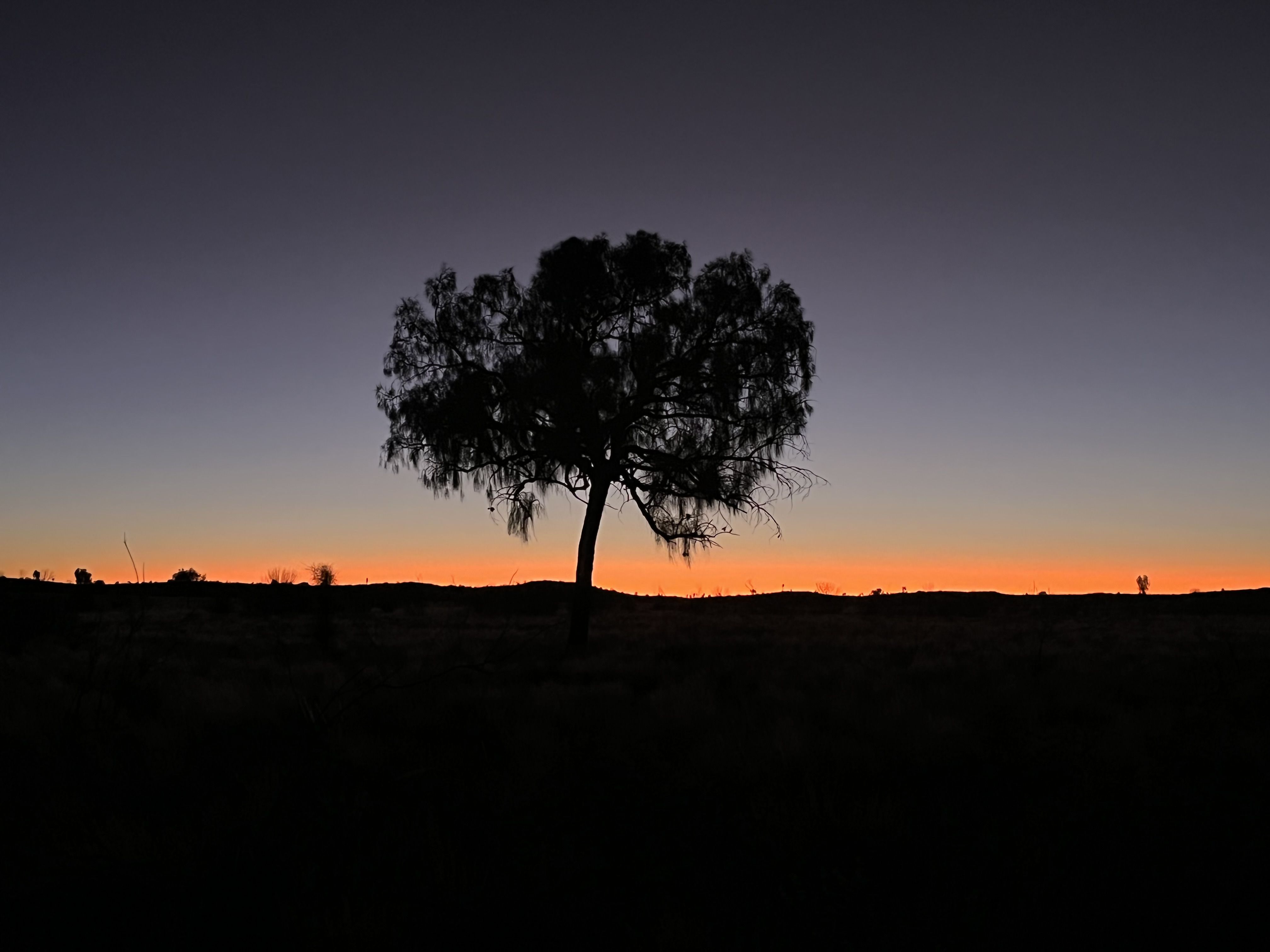 Anochecer en el desierto - Parque Nacional Uluru FOTO: Guadalupe Rodriguez Alcón