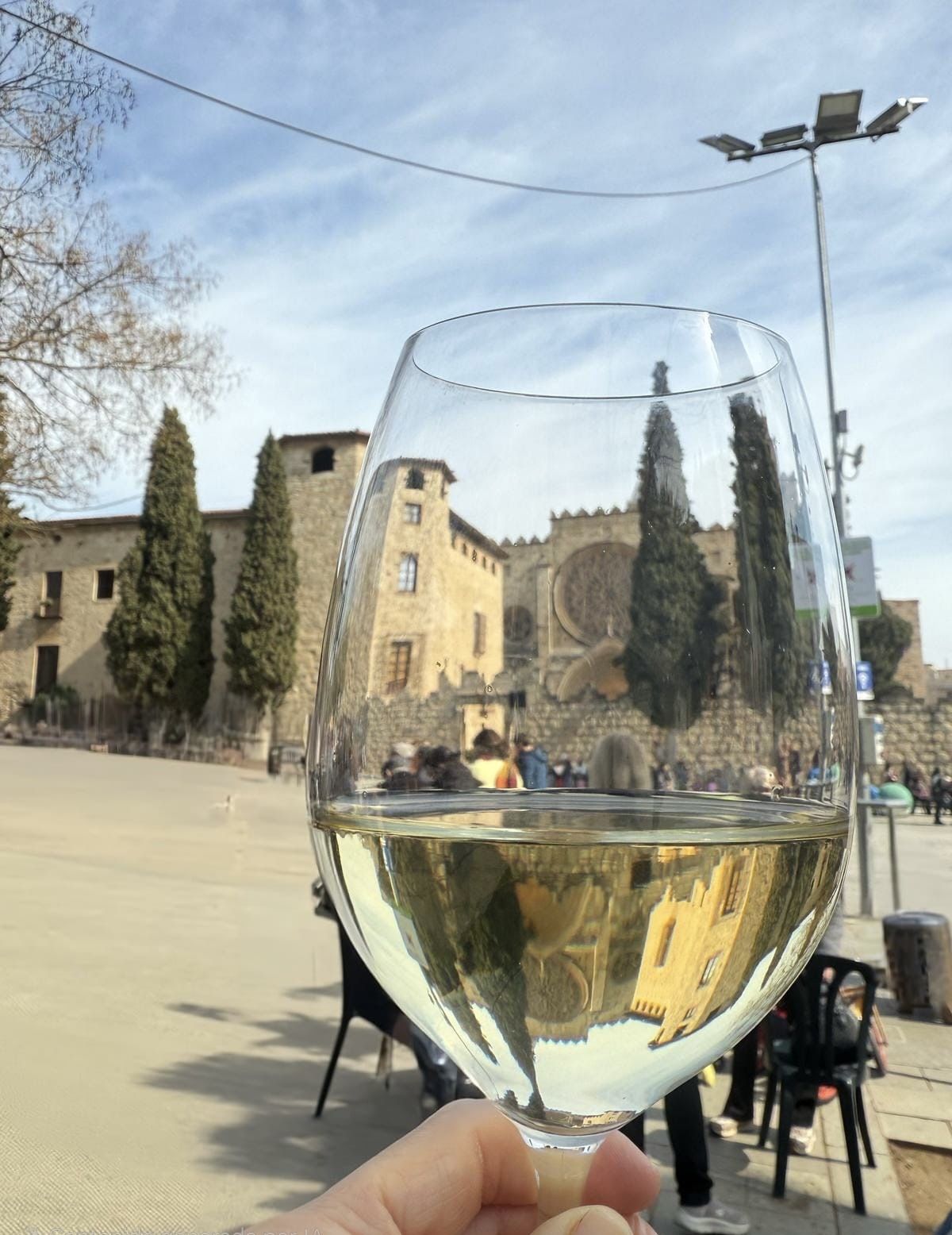 Arquitectura dins la copa - Sant Cugat del Vallès FOTO: Laia Sedo Xufre