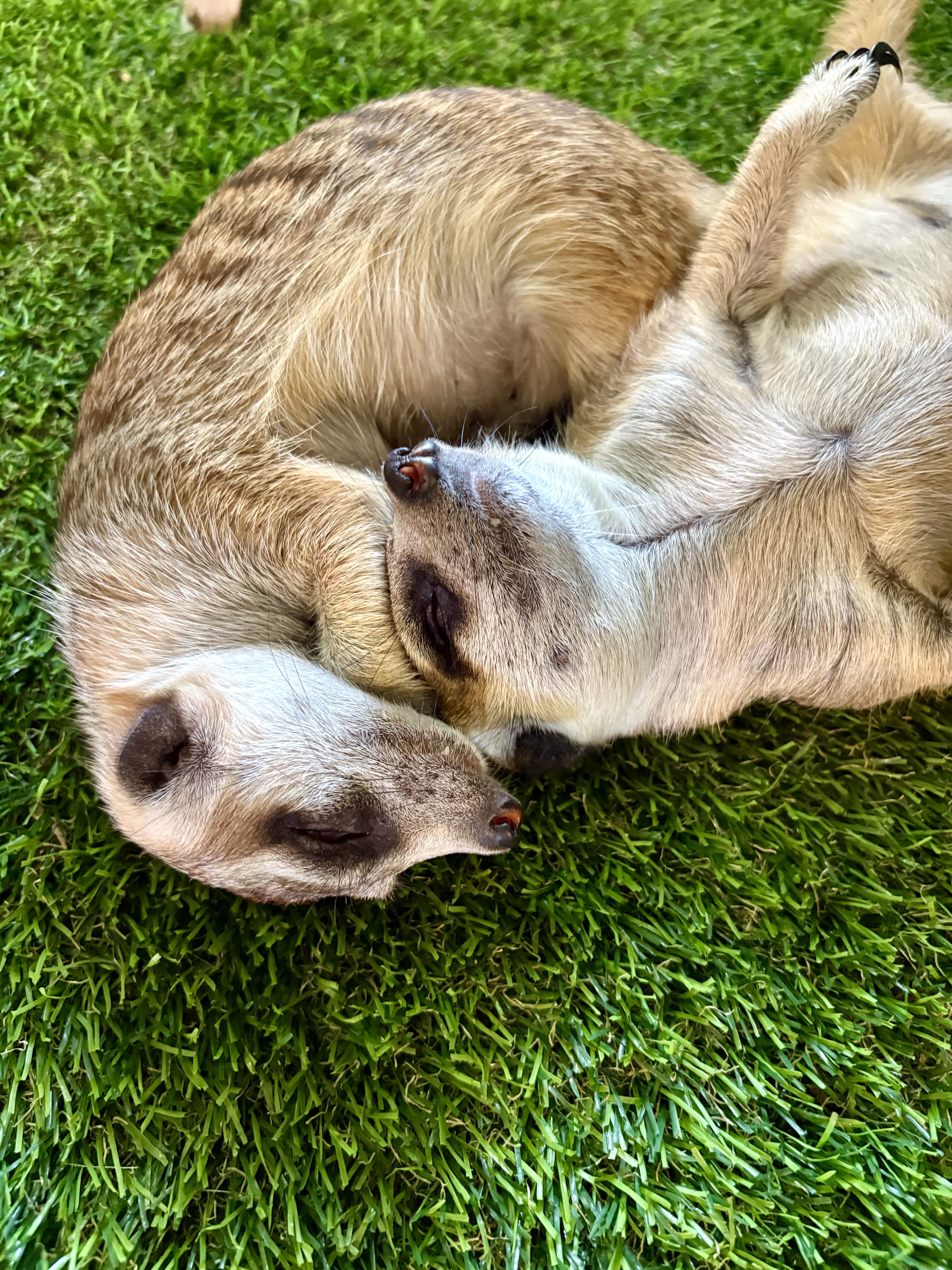 Amistat - Tailàndia FOTO: Chiara Schuster