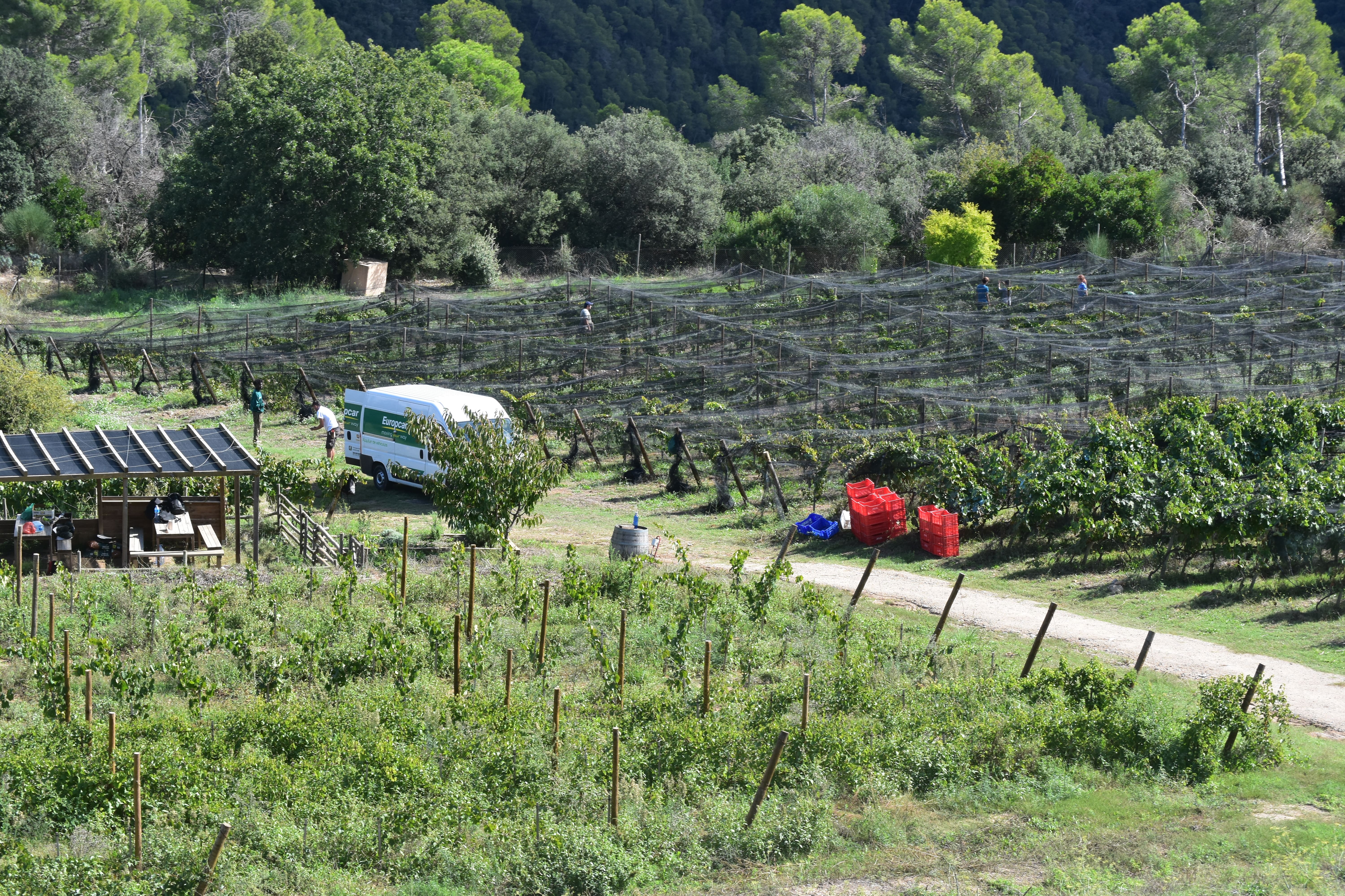 Can Calopa. FOTO: Lluna Fabregat