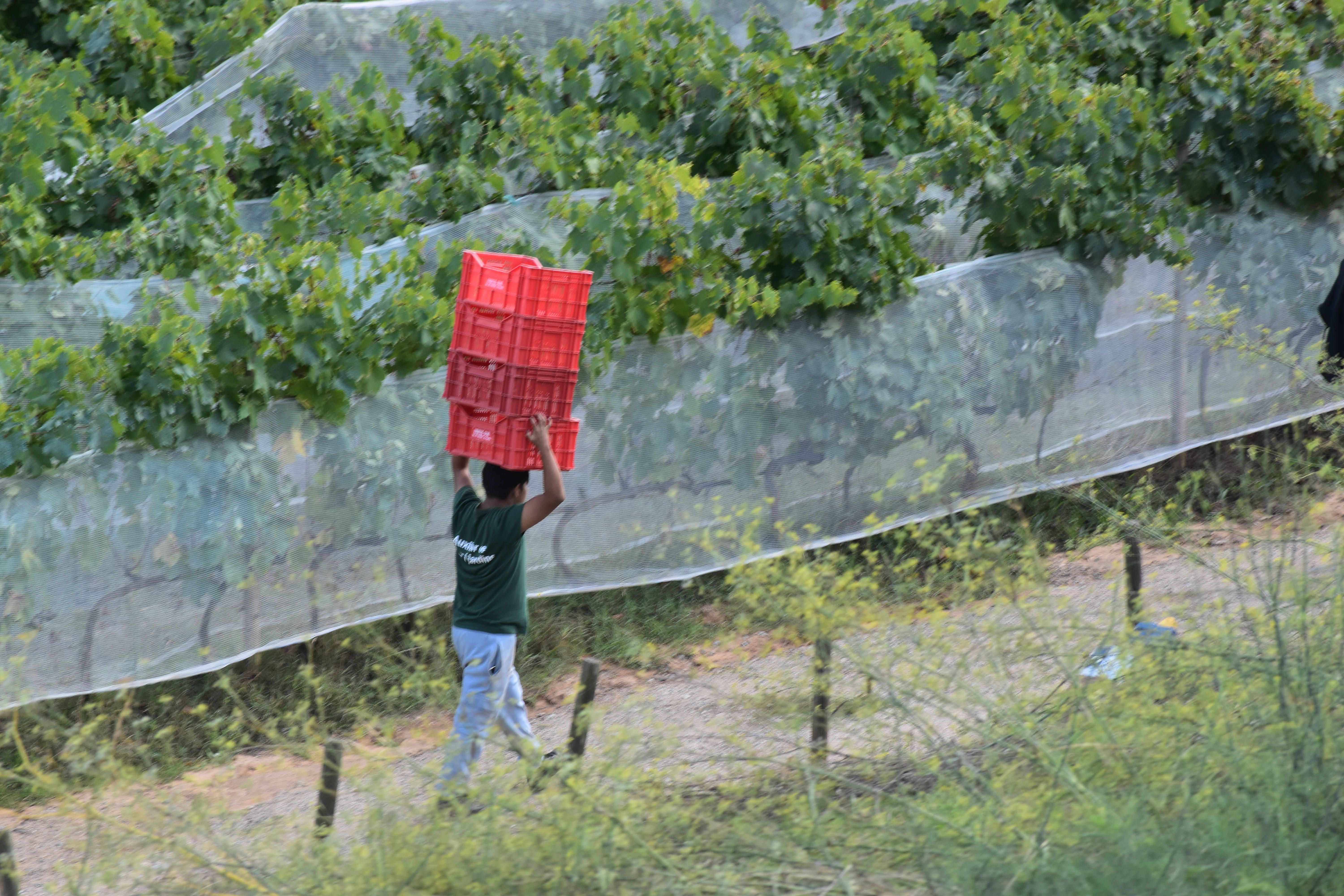 Can Calopa. FOTO: Lluna Fabregat