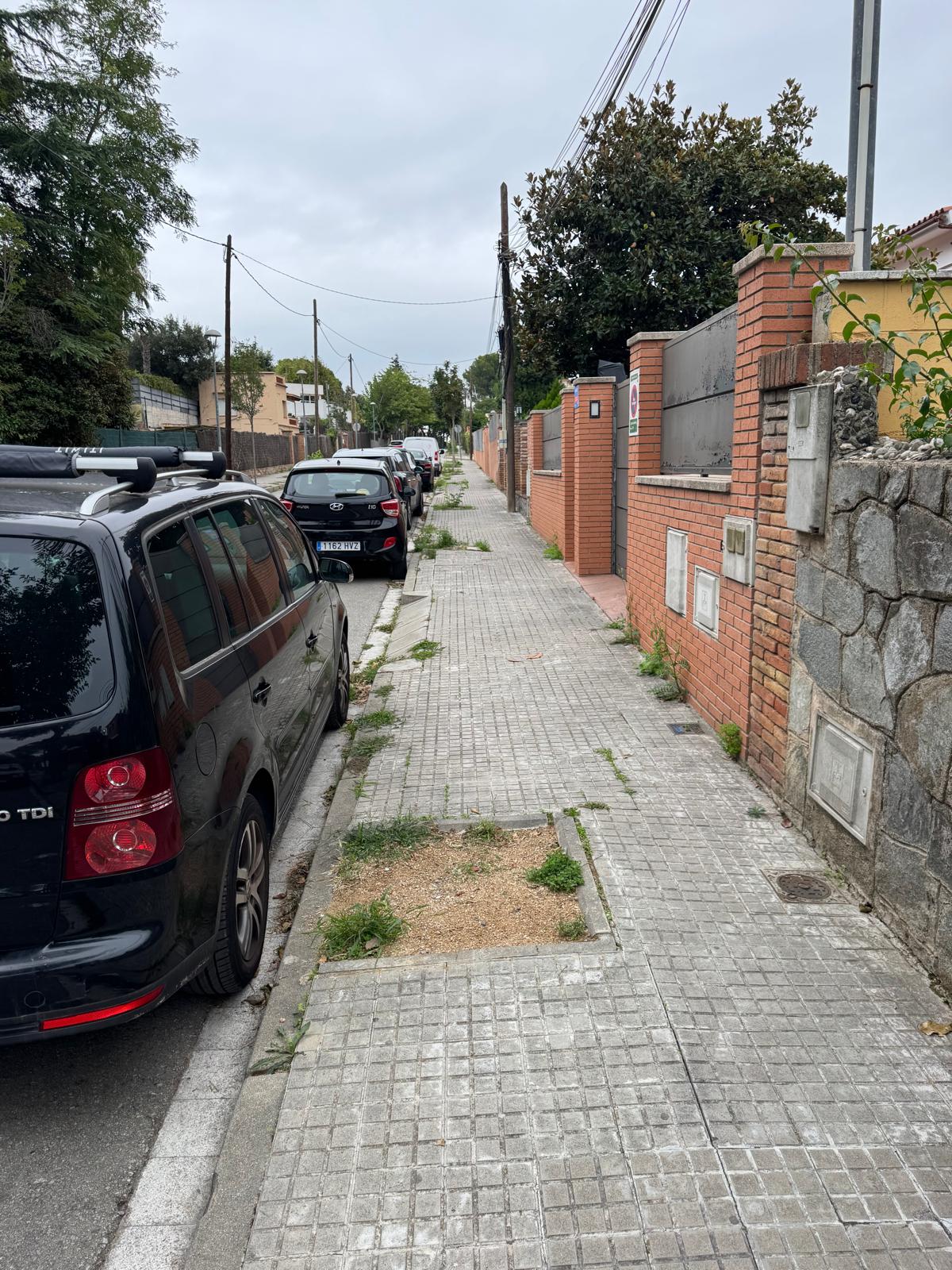 I els arbres?. FOTO: Montse Gimenez