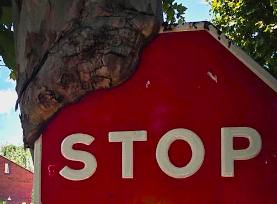 Fragment d'una de les imatges de Nogueroles