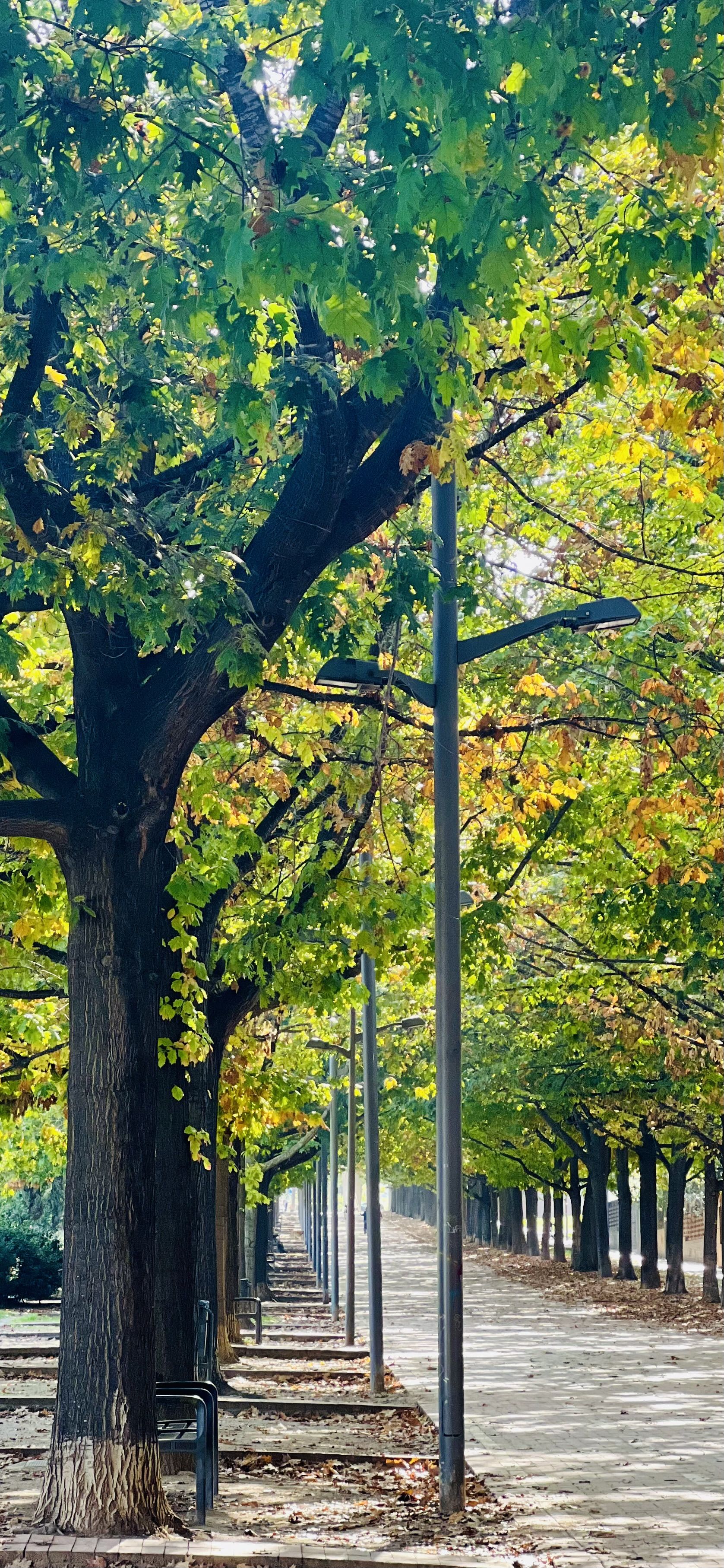 Contemplació - Sant Cugat del Vallès FOTO: Giseth Puello