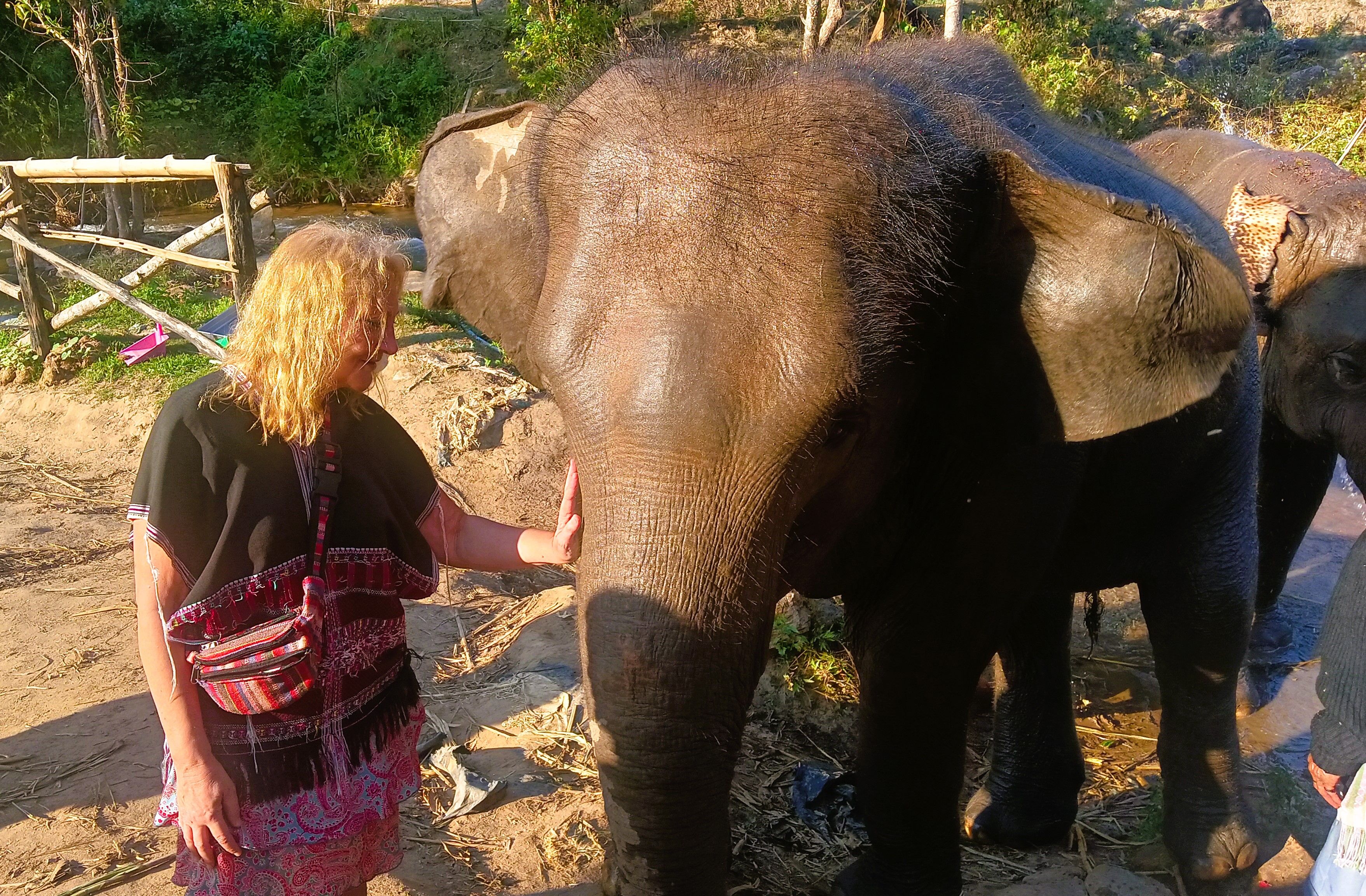 Confidències amb un amic - Chiang Mai, Tailàndia FOTO: Carme Cabús Manyosa