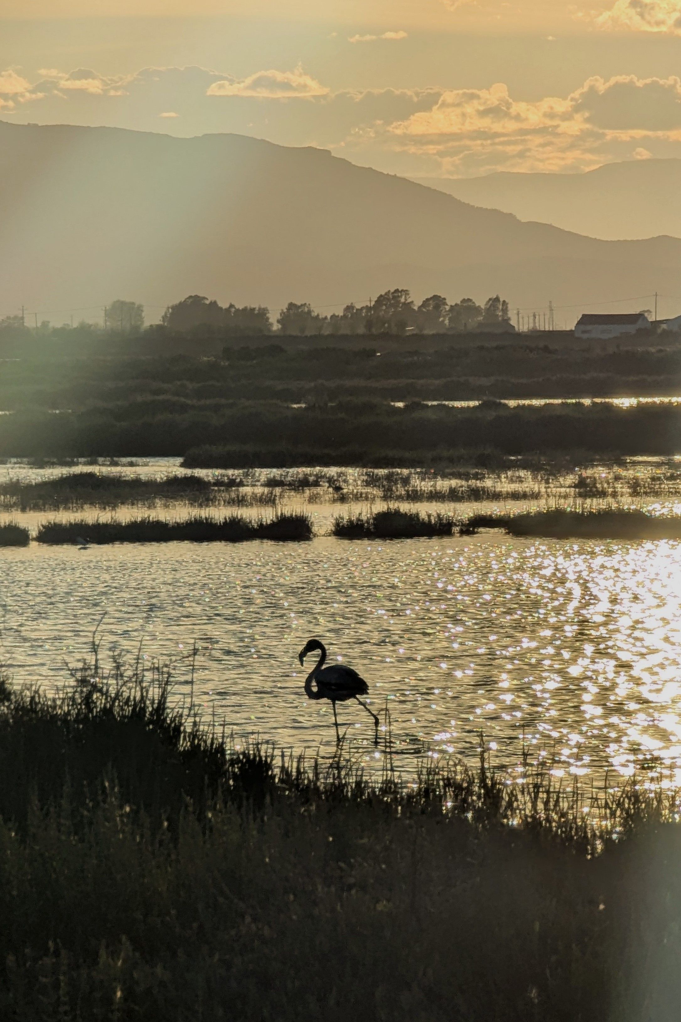 Cau el sol i estic sol - Platja del Trabucador, Delta de l'Ebre FOTO: Laura Dyson Batiste
