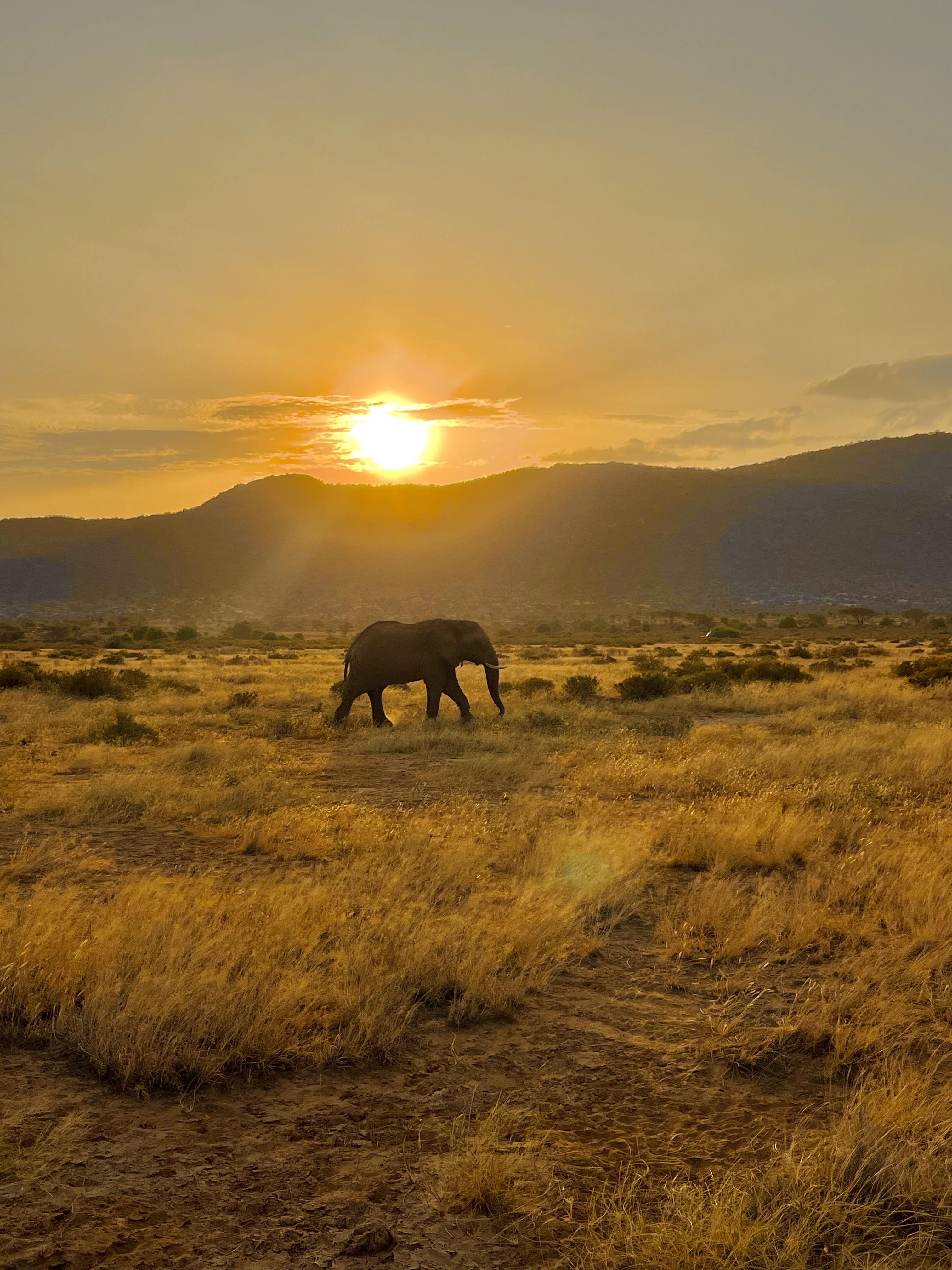 Capvespre màgic a Kènia - Kènia FOTO: Jordi Veà Bartra 