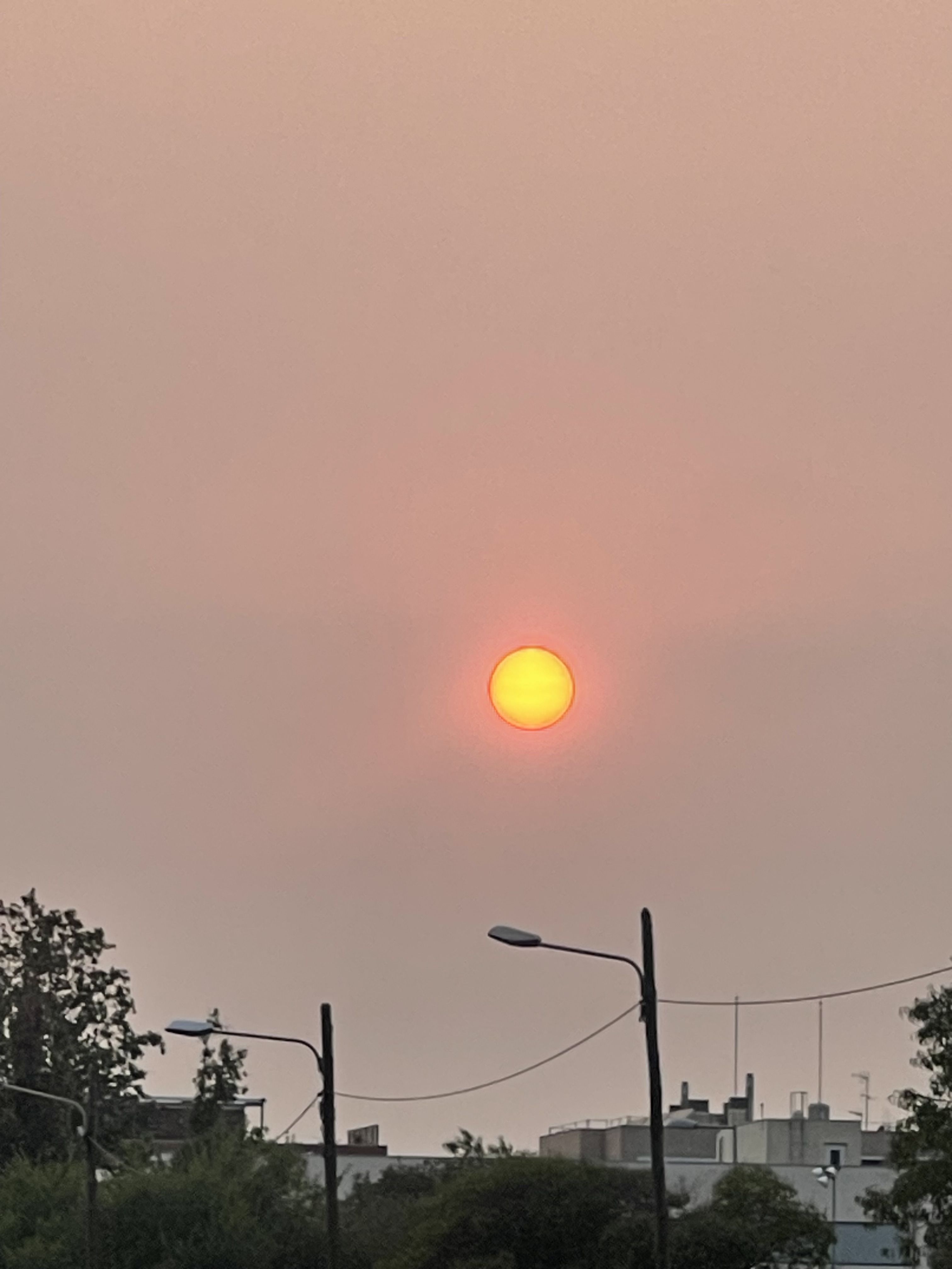 Capvespre de foc - Mira-sol FOTO: Helena Podlewski Garriga