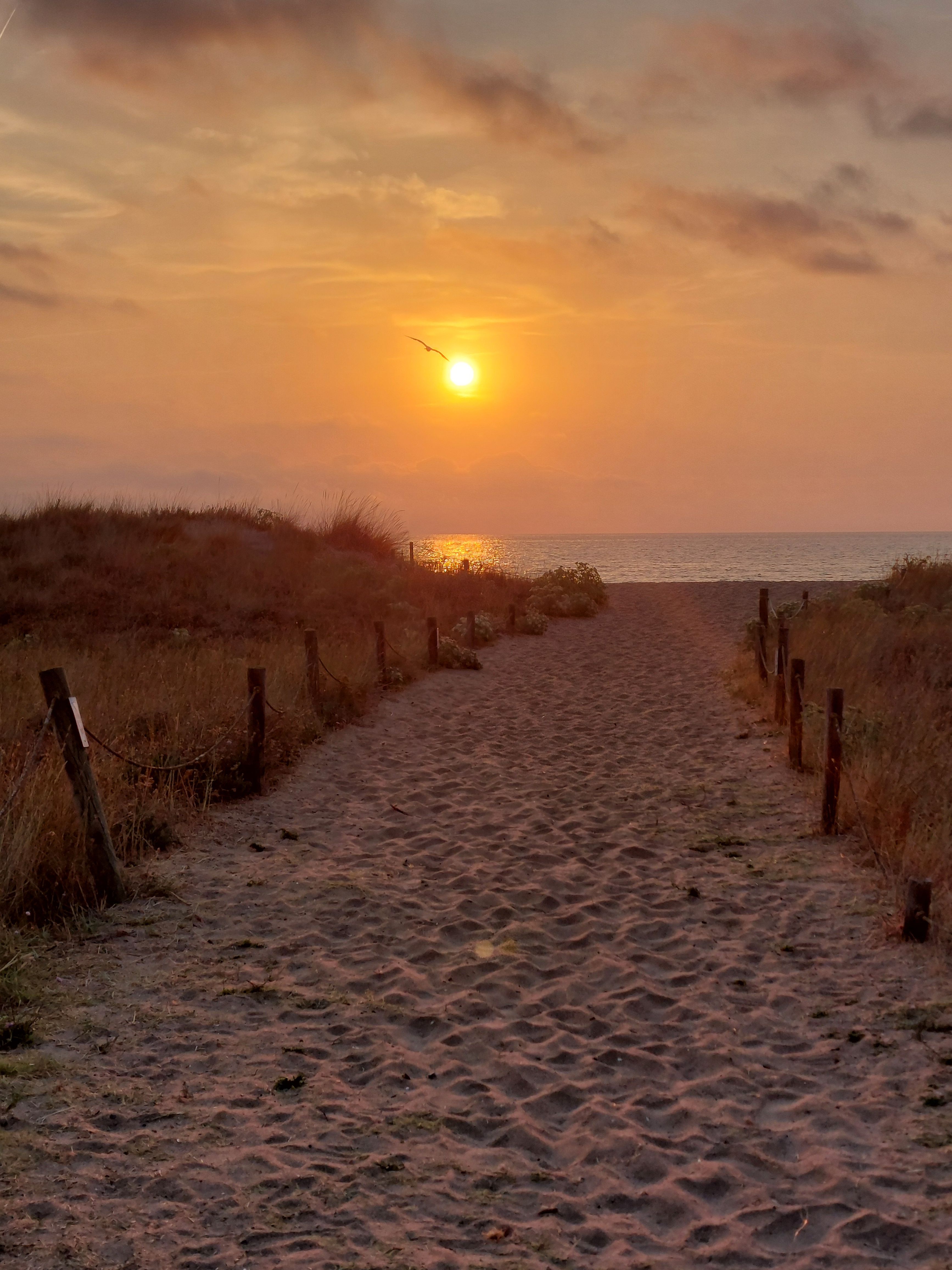Camí d'un nou dia - Pals Platja FOTO: Judit Garcia Lidón