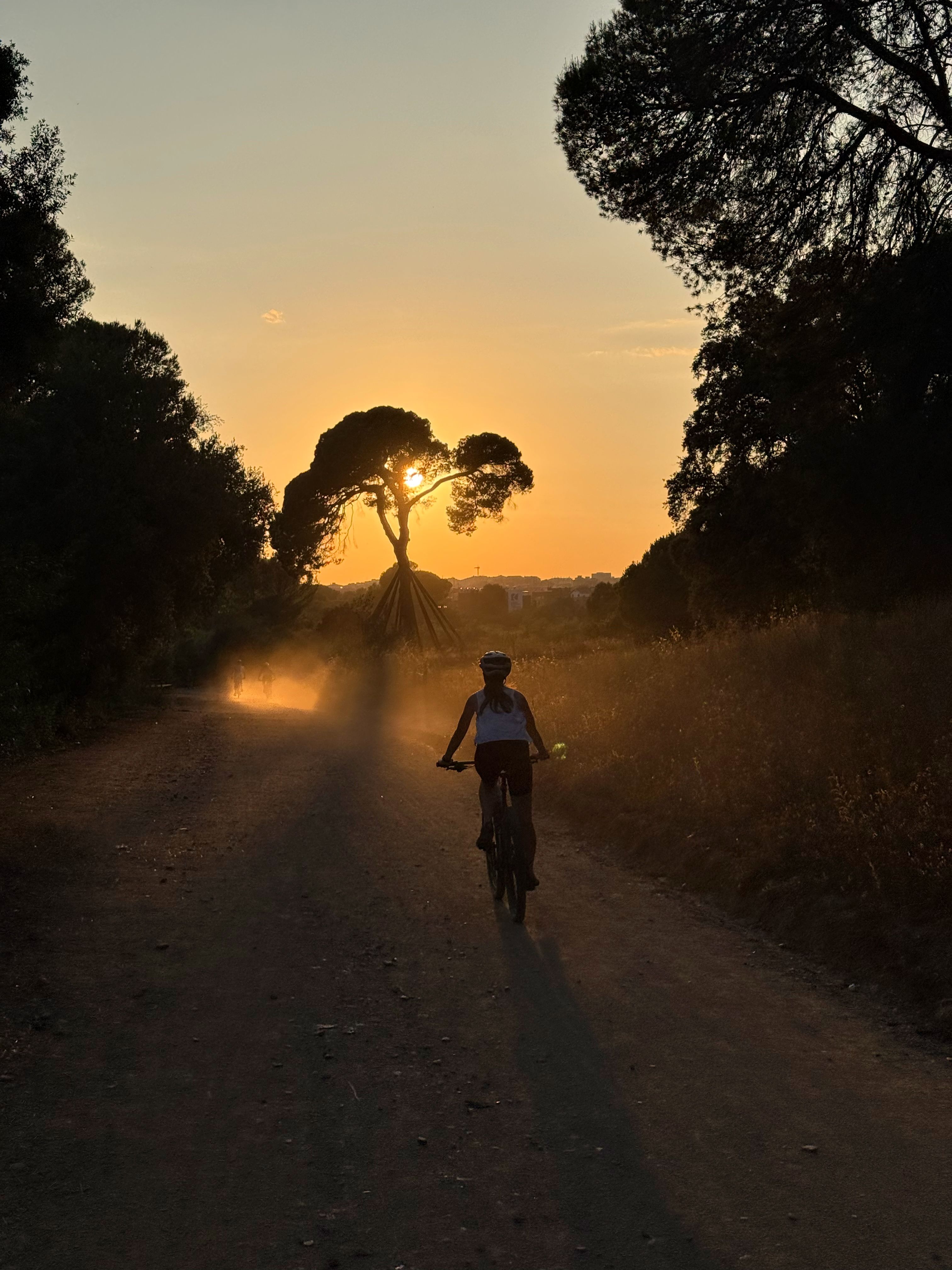 Camins - Pi d’en Xandri, Sant Cugat del Vallès FOTO: Nicolau Viñas Ferré