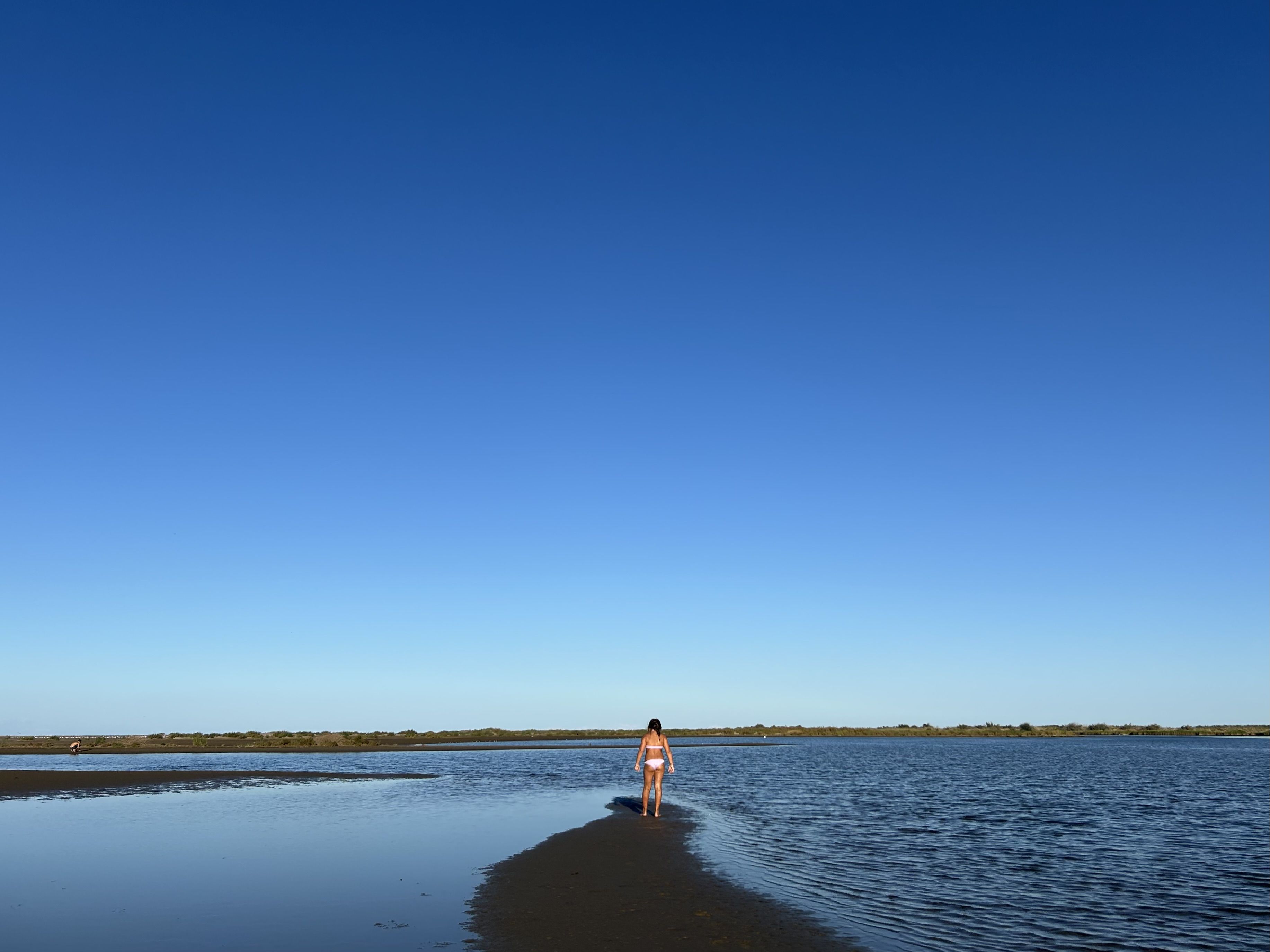 Camina fins on puguis - Delta de l'Ebre FOTO: Assís De Riba