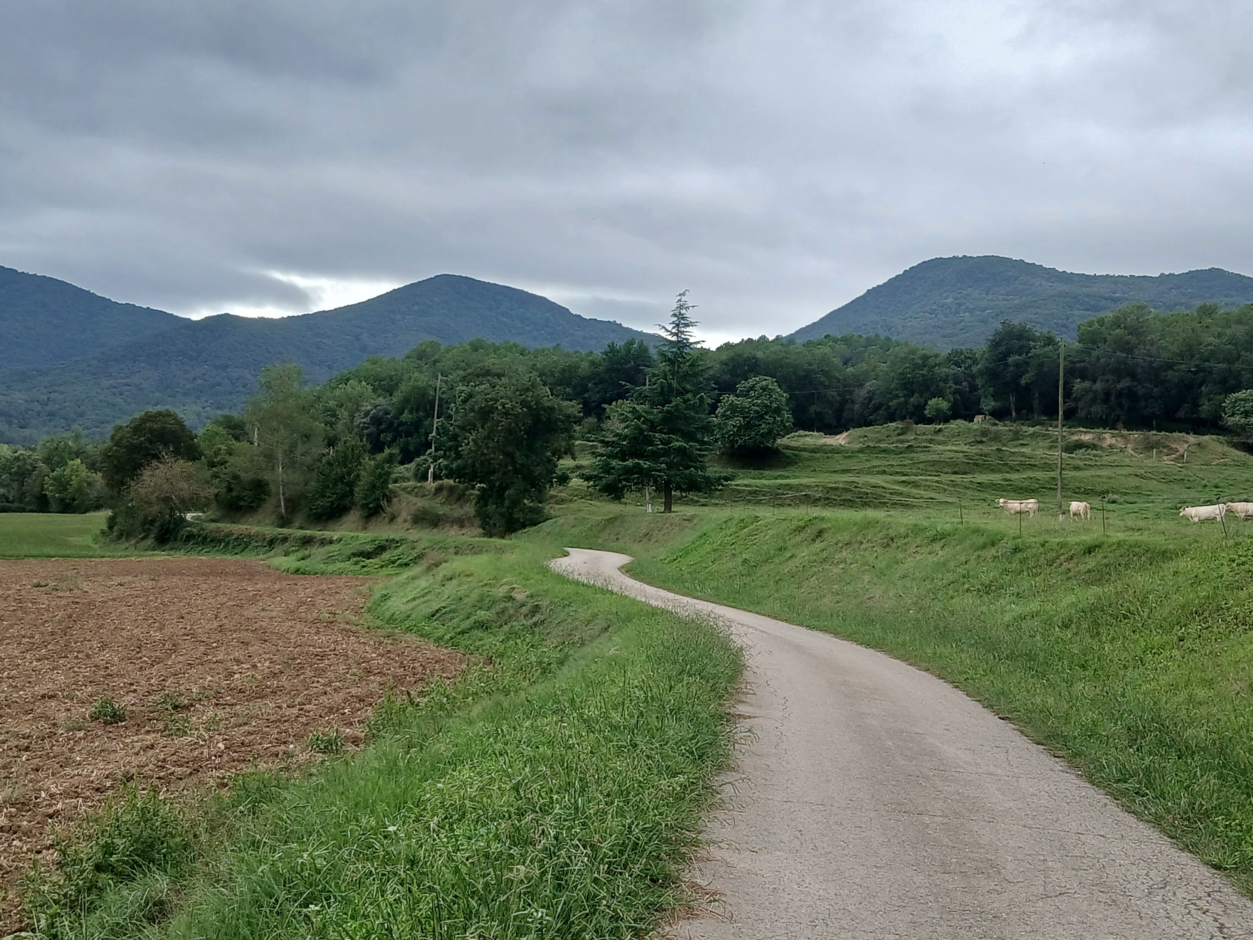 Camí sinuós - Mieres FOTO: Jordi Cubeles Jubillar 