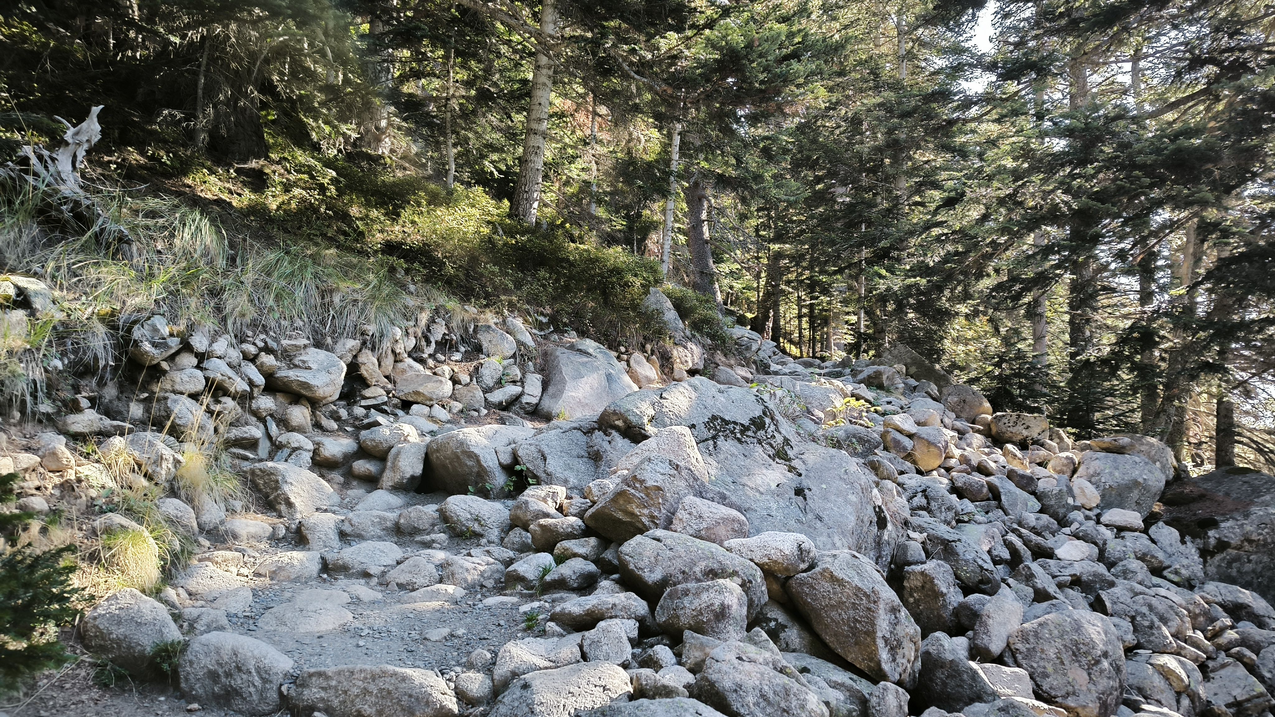 Camí de rocs o rocs al camí - Cascada de la Ratra FOTO: Isidre Plancheria i Coll