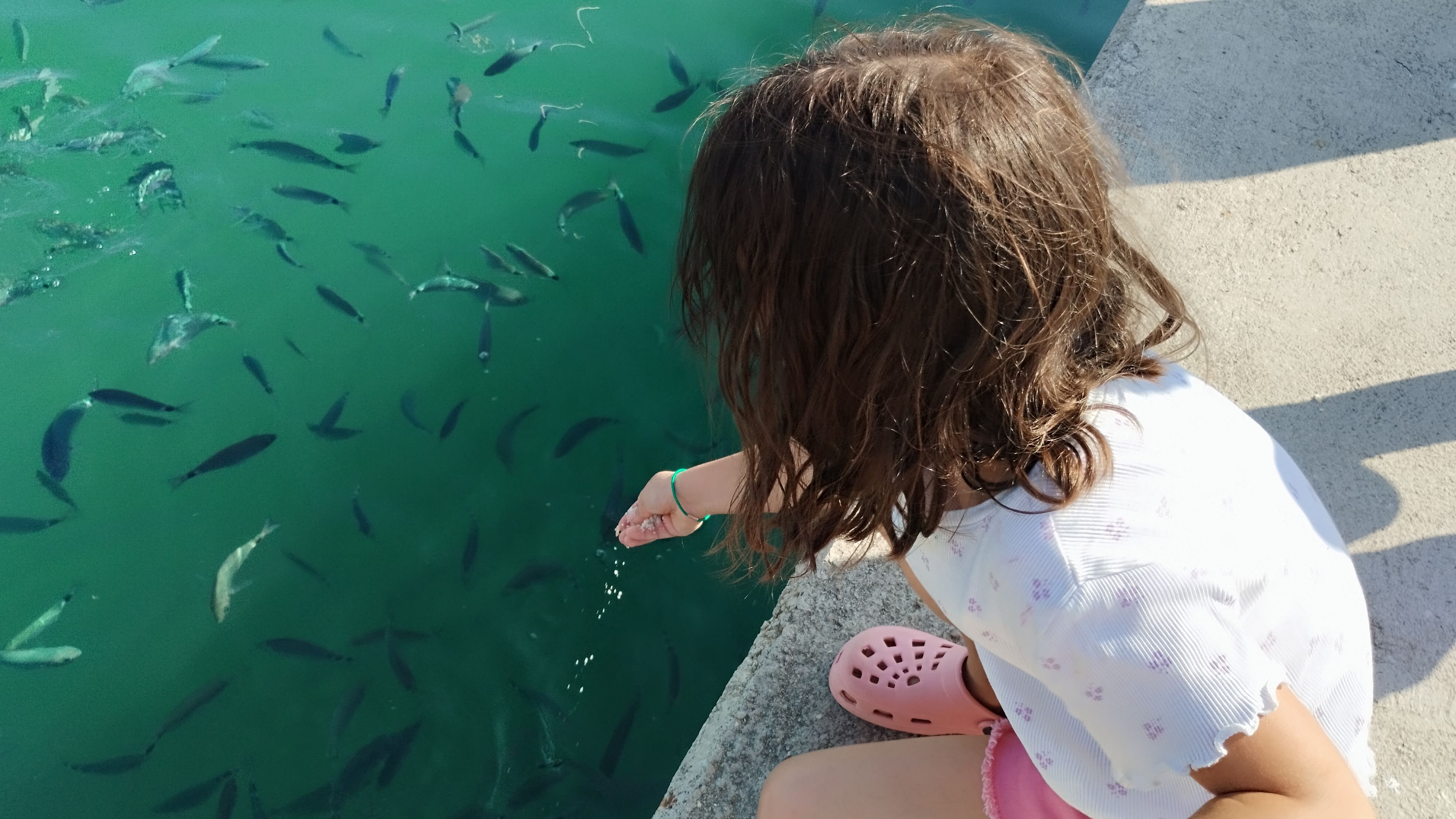 Calma - Roda de Berà FOTO: Nicole Franc Perret