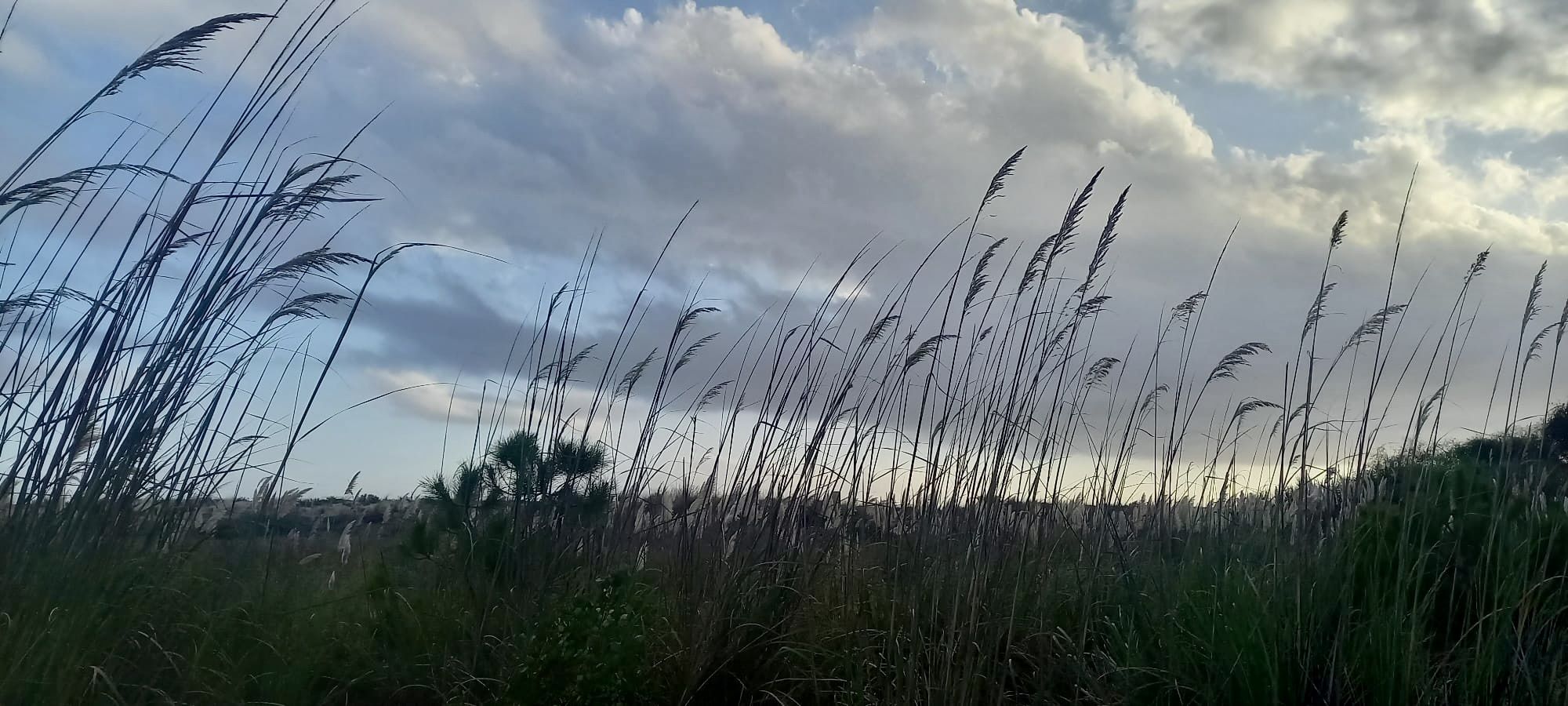 Brisa de setembre - Gavà FOTO: Xenia Olives