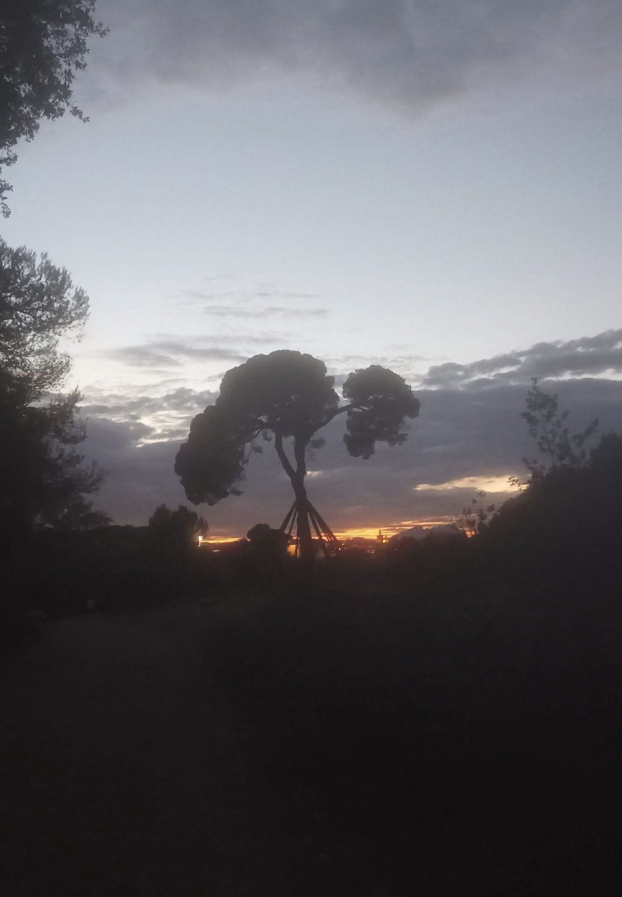Bona tarda - Collserola FOTO: Luis Cendón Torees