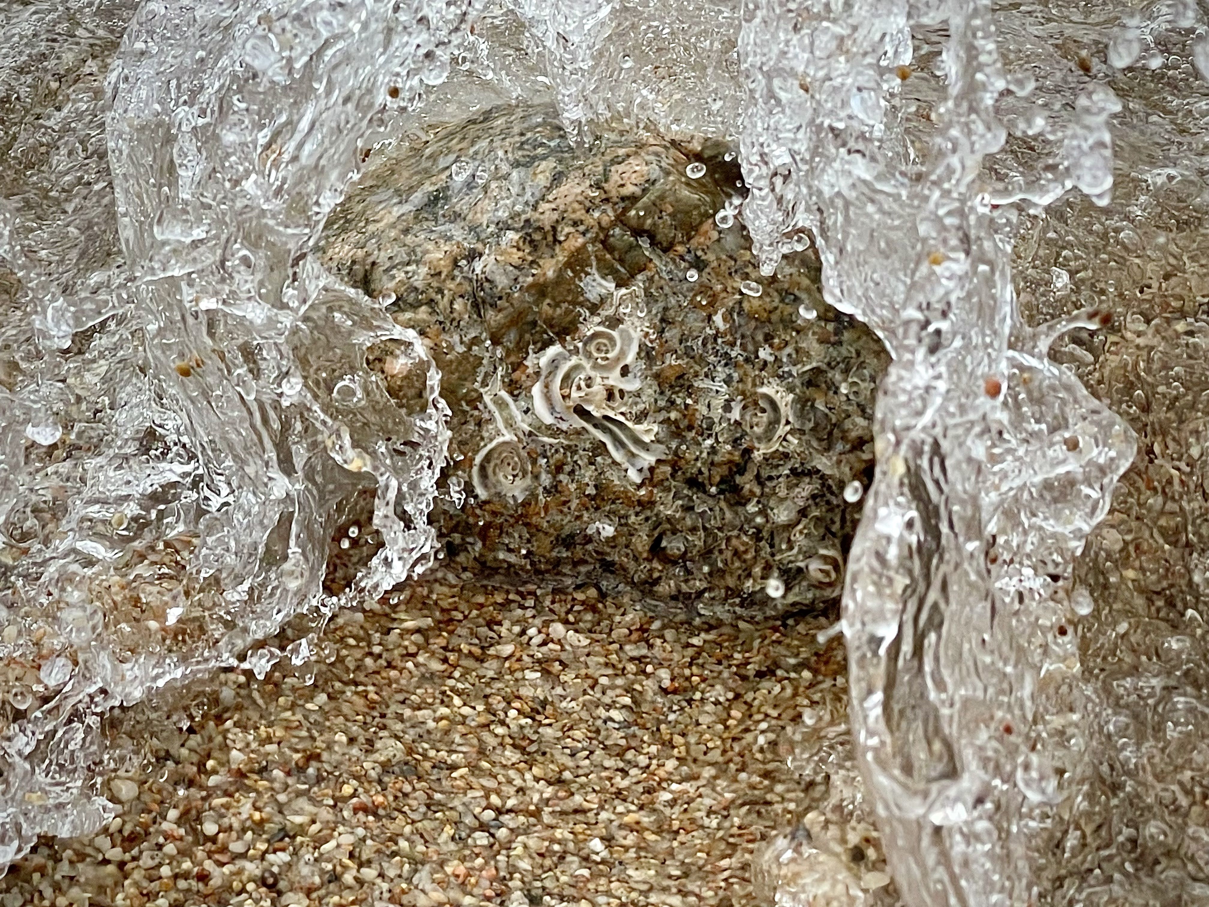 Abraçada d'onada - Calella de Palafrugell FOTO: Maria Elena Oliver Perpiñà