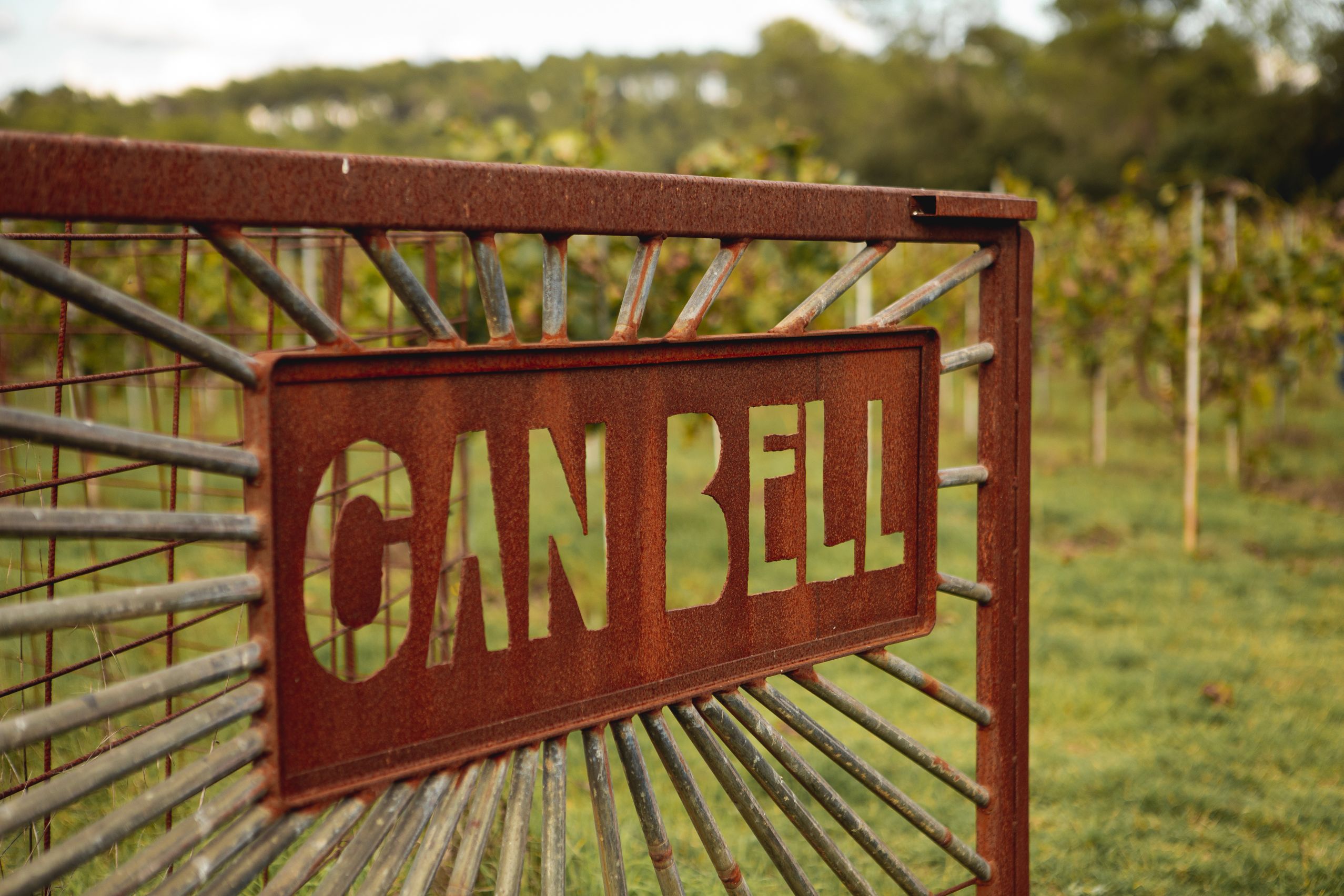 Visita a la Masia de Can Bell durant les Jornades Europees de Patrimoni a Sant Cugat. FOTO: Joana Arribas (TOT Sant Cugat)