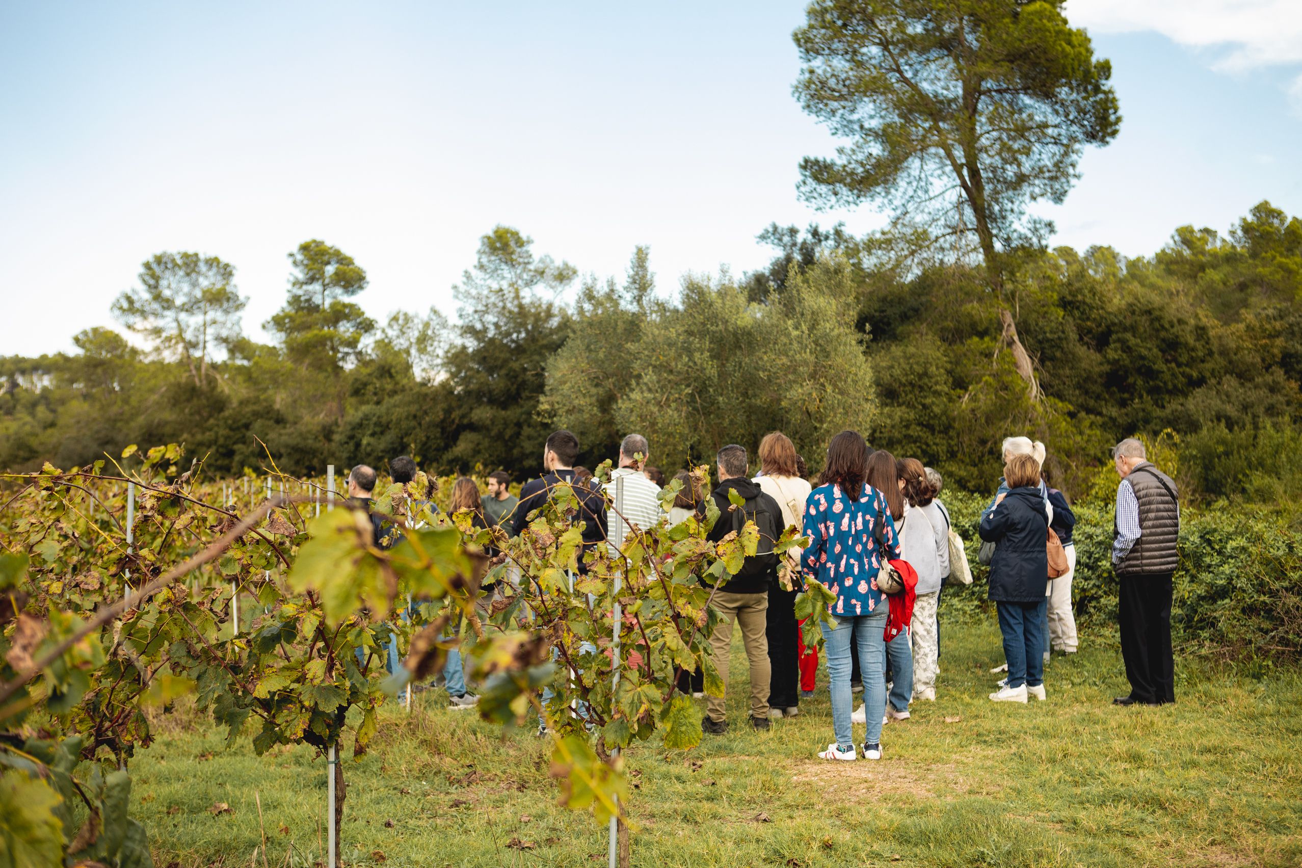 Visita a la Masia de Can Bell durant les Jornades Europees de Patrimoni a Sant Cugat. FOTO: Joana Arribas (TOT Sant Cugat)