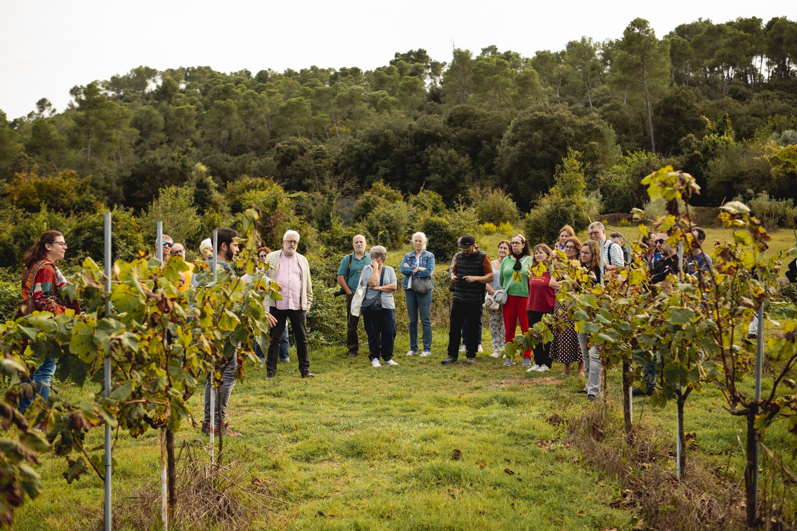 Visita a la Masia de Can Bell durant les Jornades Europees de Patrimoni a Sant Cugat. FOTO: Joana Arribas (TOT Sant Cugat)