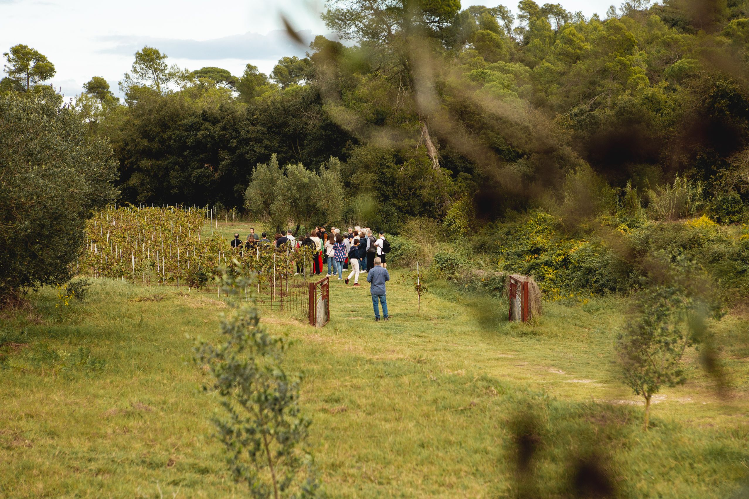 Visita a la Masia de Can Bell durant les Jornades Europees de Patrimoni a Sant Cugat. FOTO: Joana Arribas (TOT Sant Cugat)