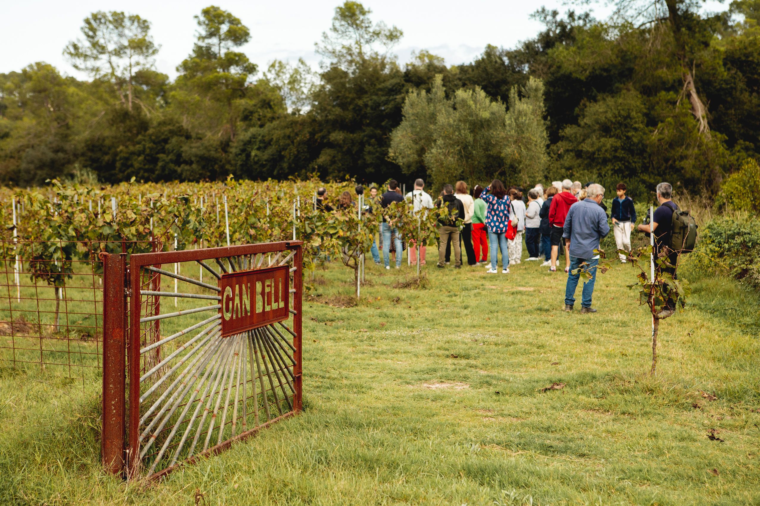 Visita a la Masia de Can Bell durant les Jornades Europees de Patrimoni a Sant Cugat. FOTO: Joana Arribas (TOT Sant Cugat)