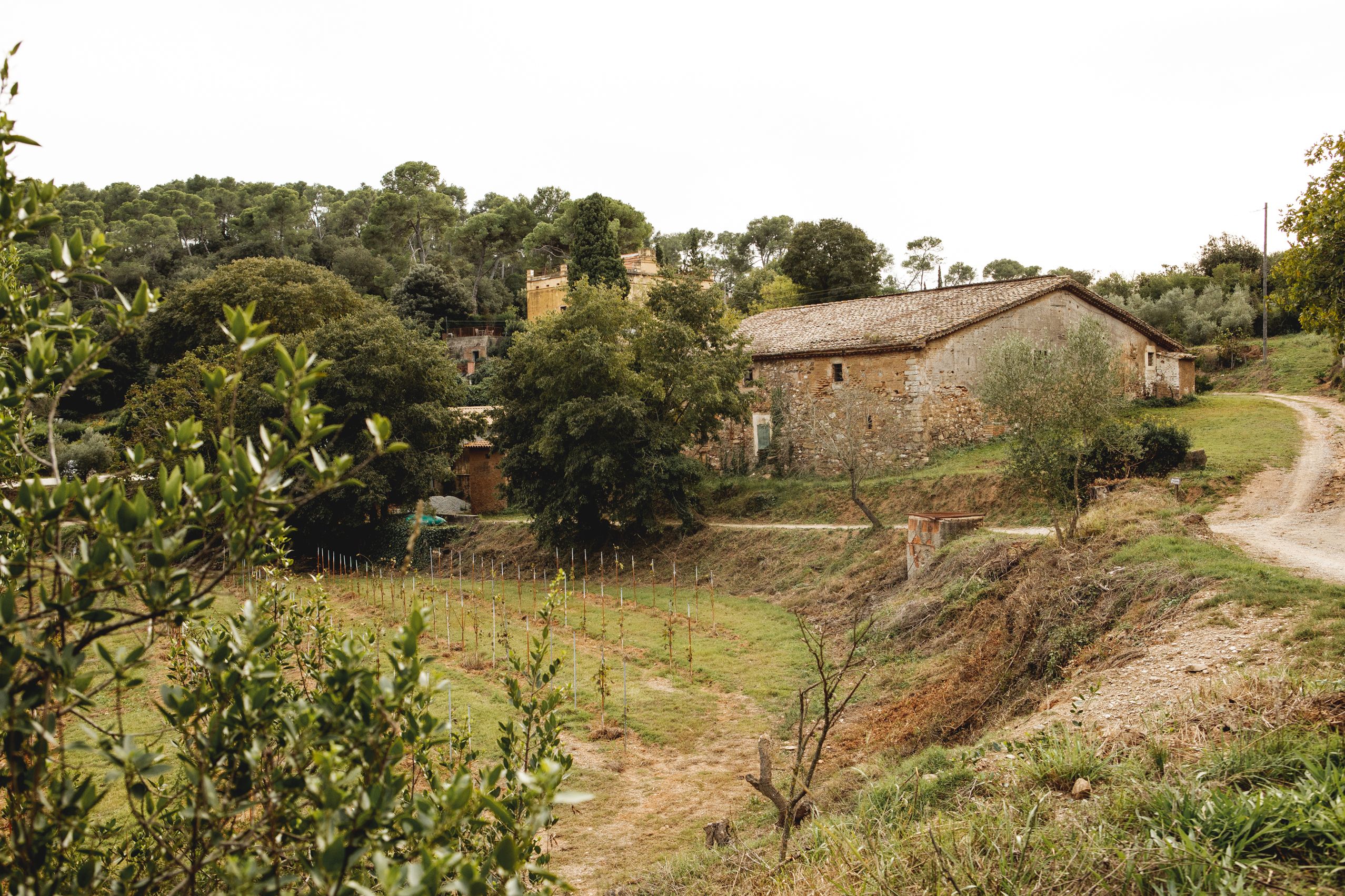 Visita a la Masia de Can Bell durant les Jornades Europees de Patrimoni a Sant Cugat. FOTO: Joana Arribas (TOT Sant Cugat)