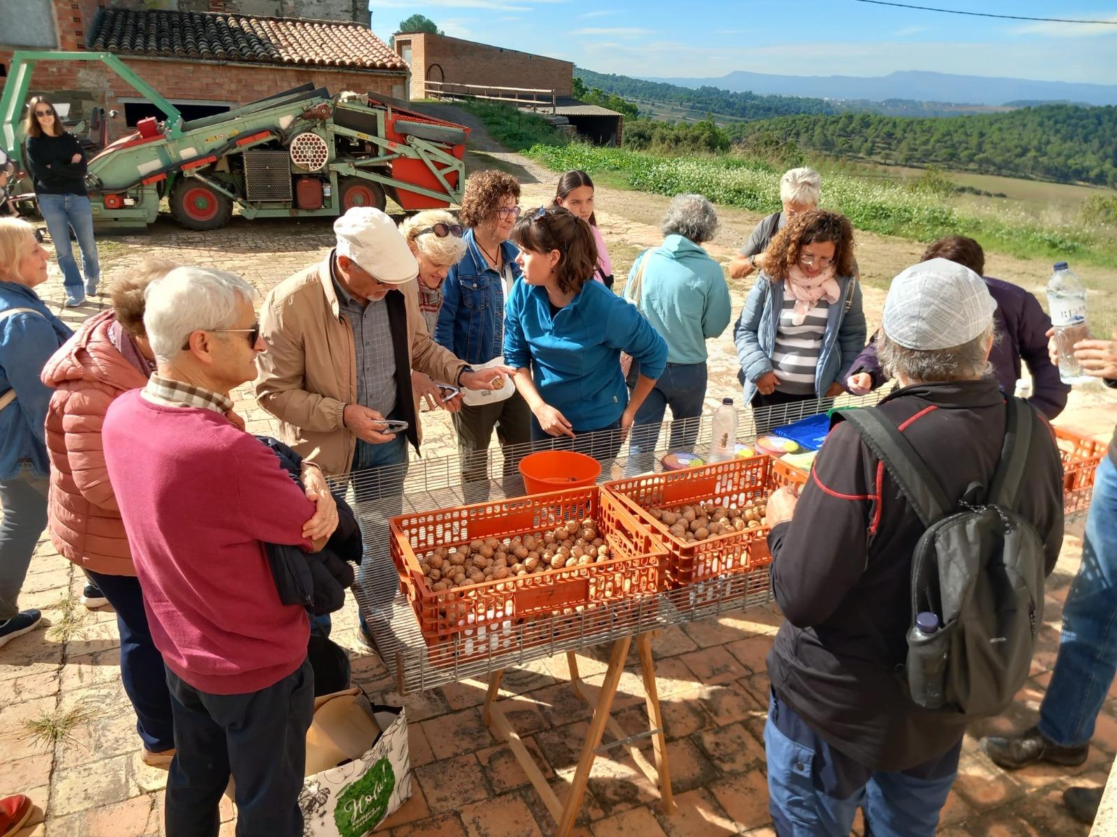  Visita de referència a la productora de nous ecològiques Nous Soler (Moianès). FOTO:  Departament d'Agricultura, Ramaderia, Pesca i Alimentació de la Generalitat de Catalunya