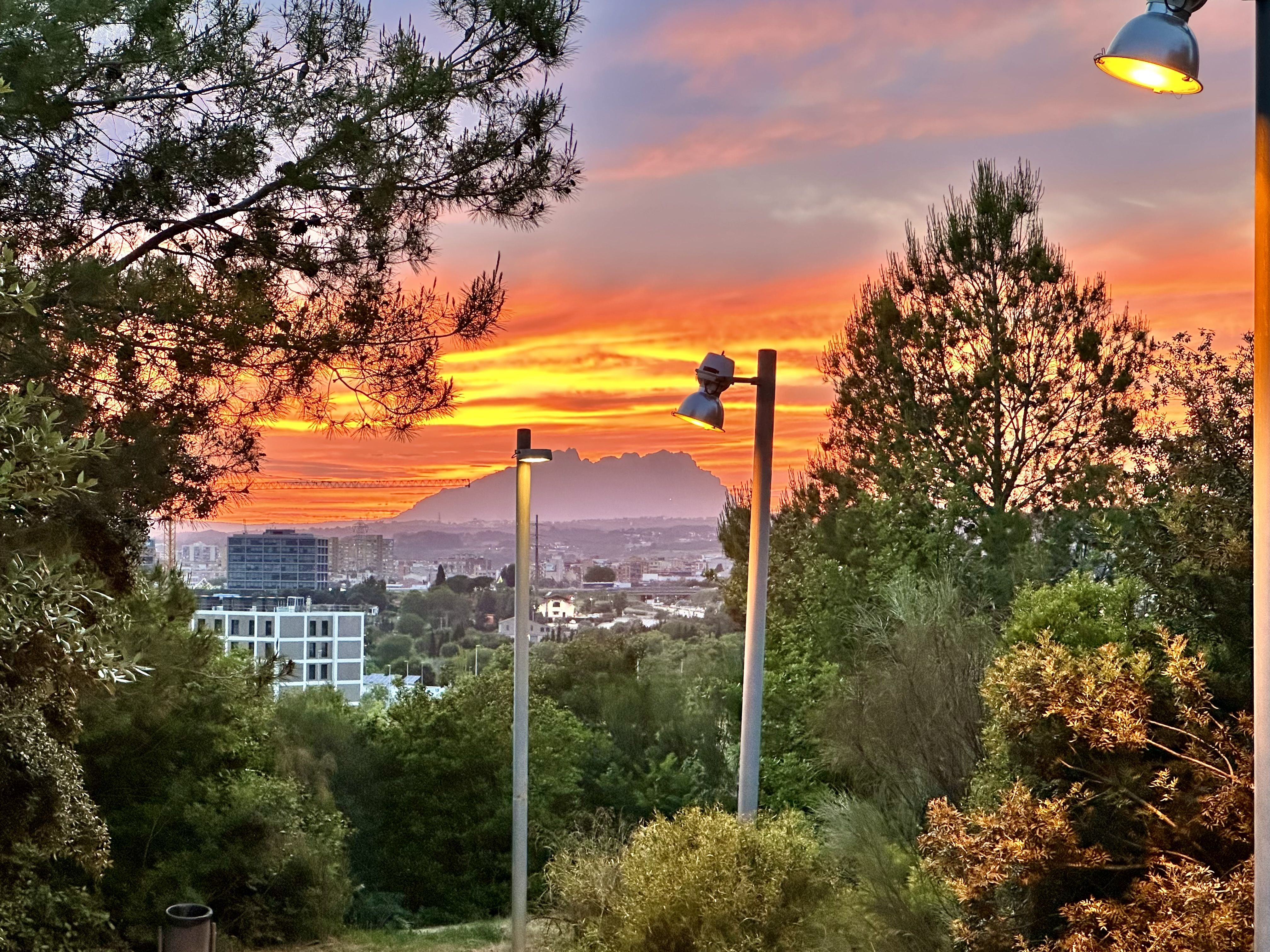 Crepuscle al Turó - Parc Turó, Can Mates FOTO: Elena Mestre
