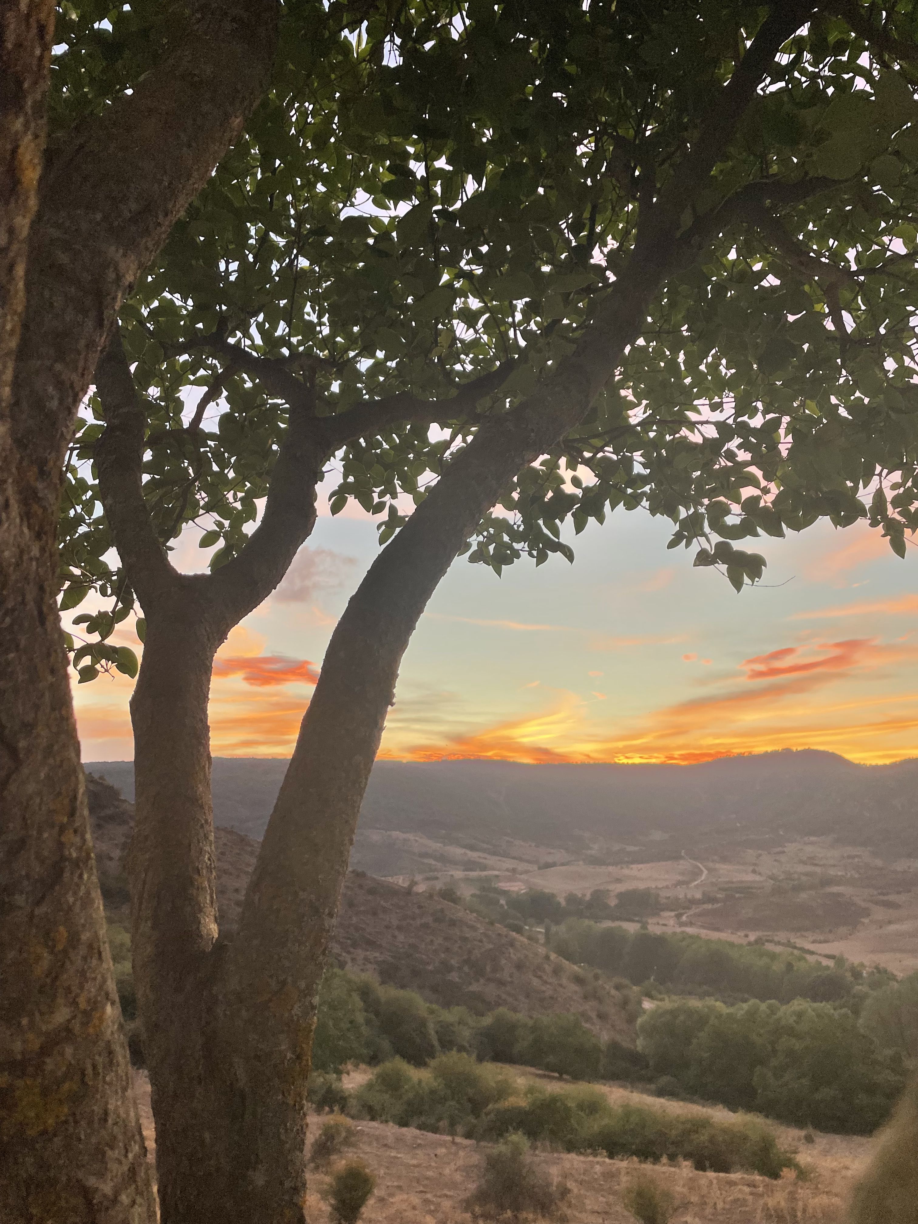 Descans - Huélamo, Cuenca FOTO: Maria Dolors Navarro Rubio