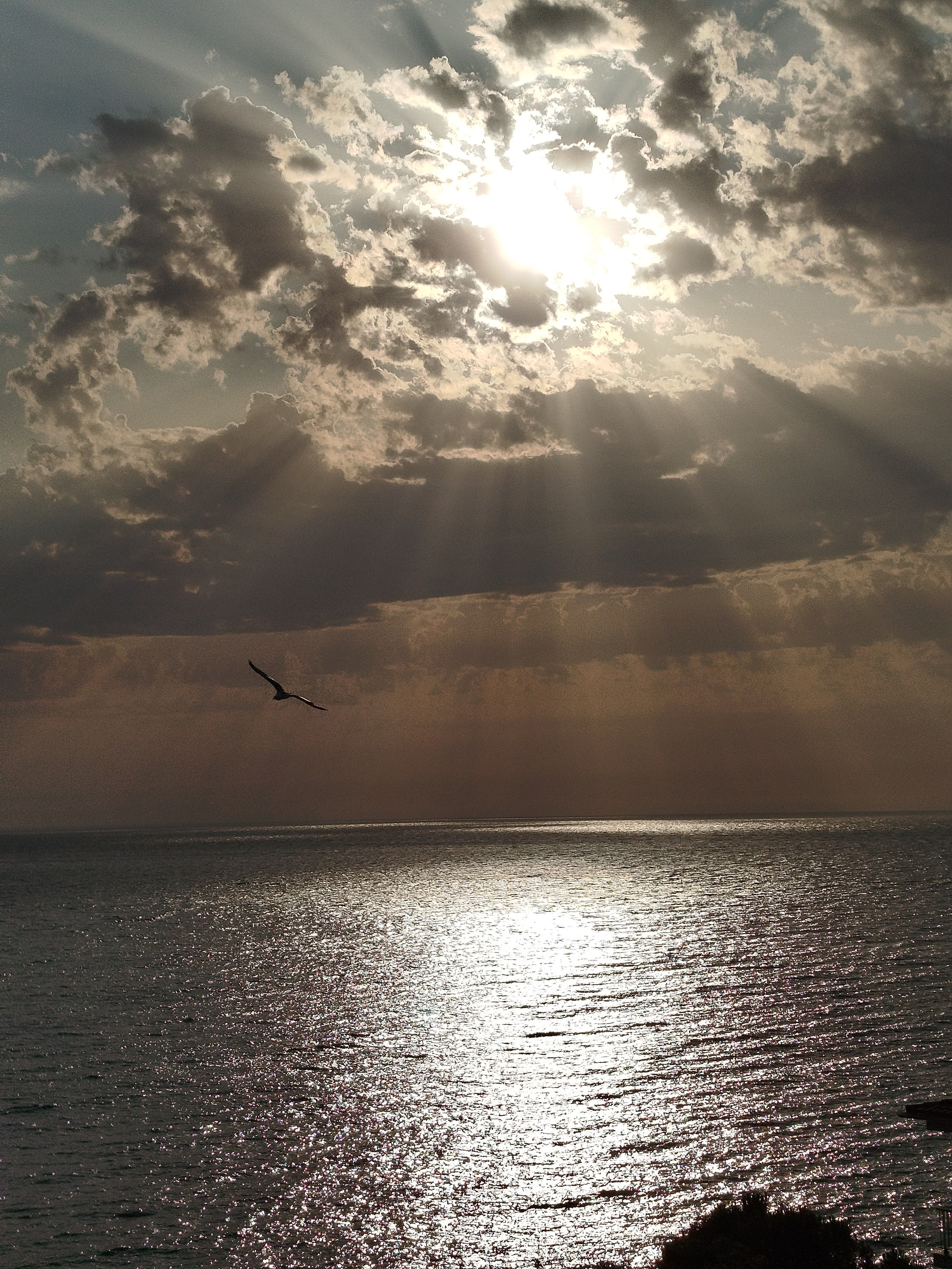 Despertars - Cau del Llop, Llançà FOTO: Laura Lienas Massot