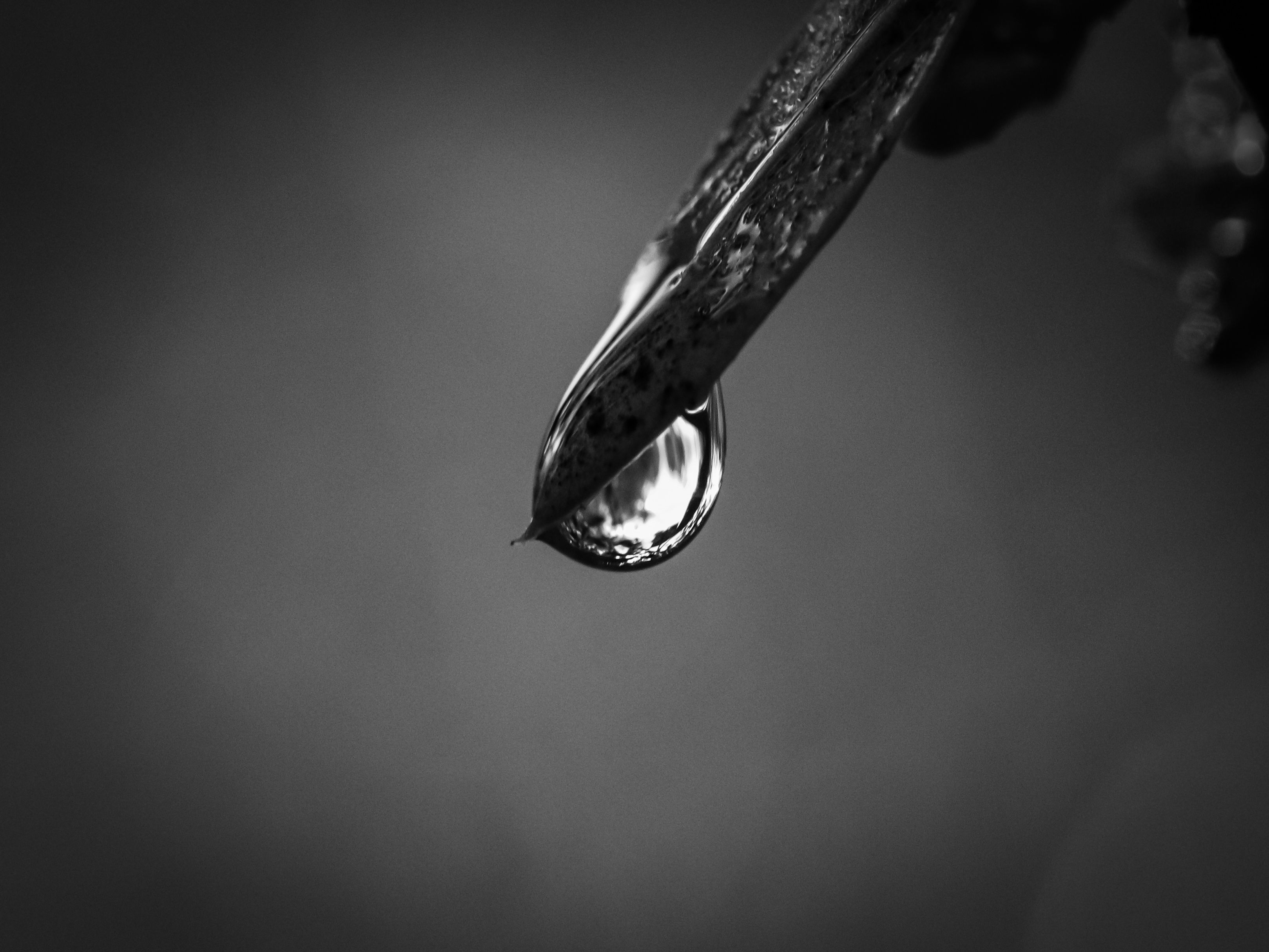 Després de la pluja - Esparreguera, Barcelona FOTO: Manu Garcia