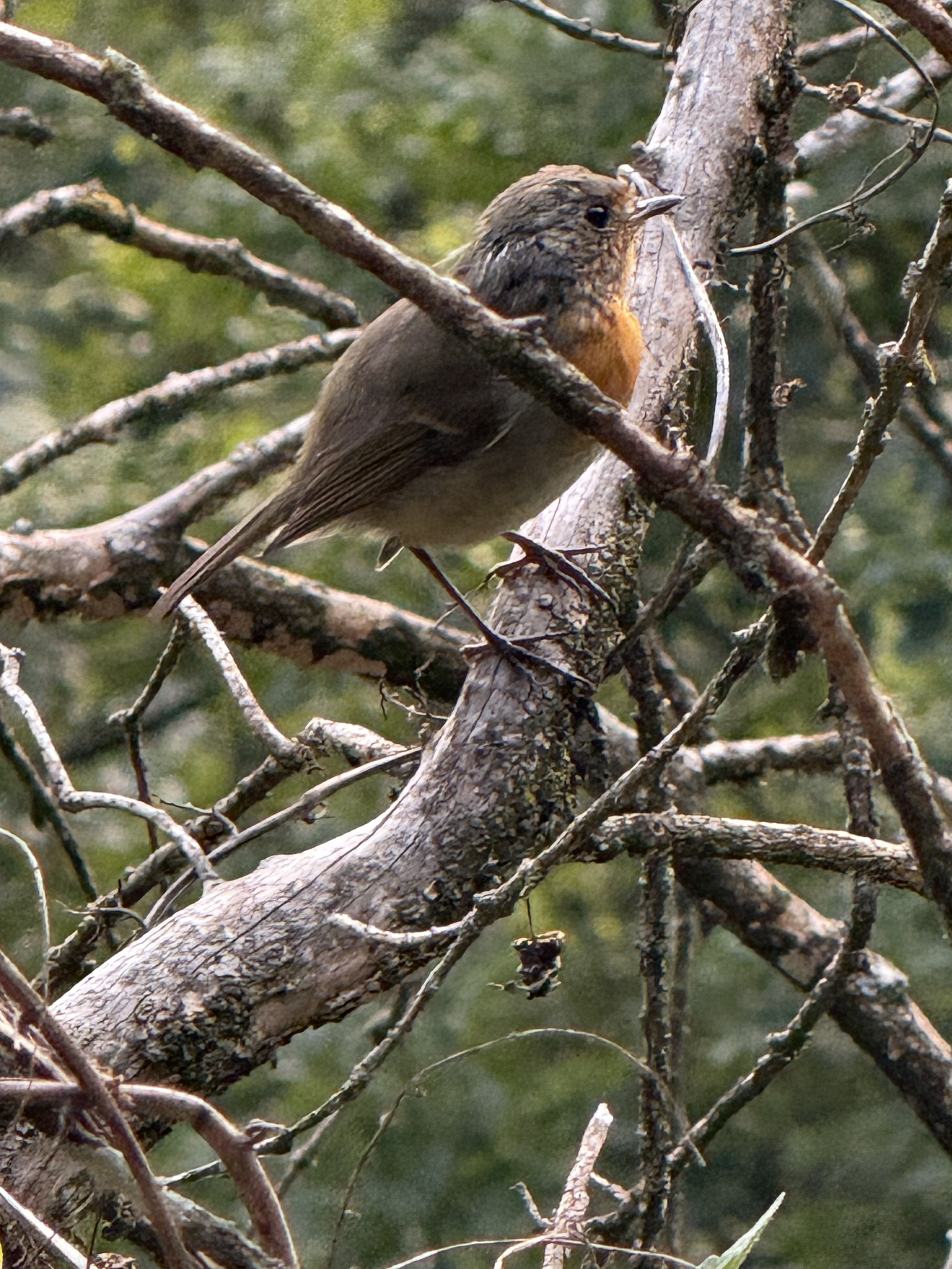 Divina Naturaleza - L’Esquirol FOTO: Leonor Jimenez