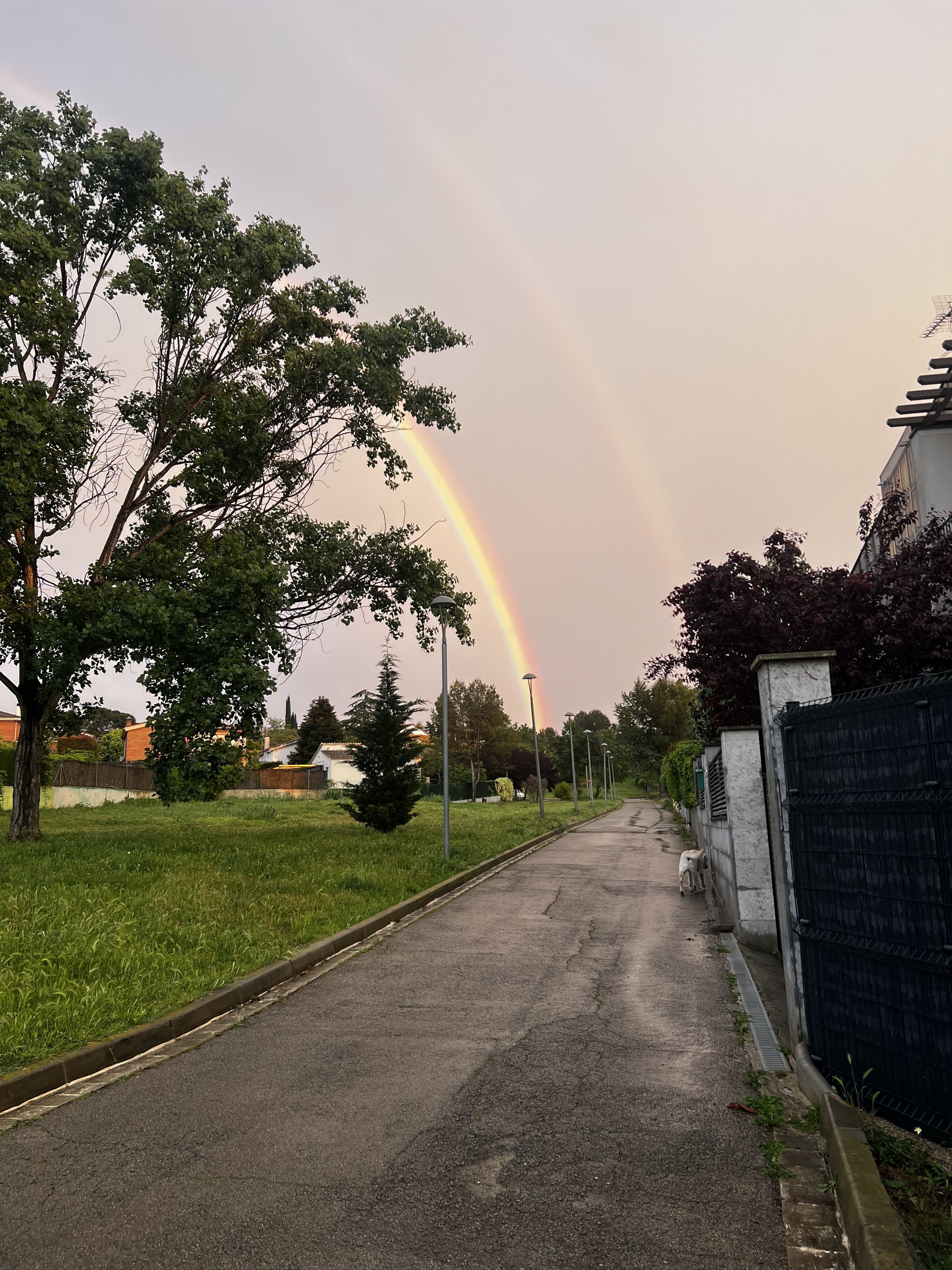 Doble arc - Mira-sol FOTO: Cristina Caballero Cros
