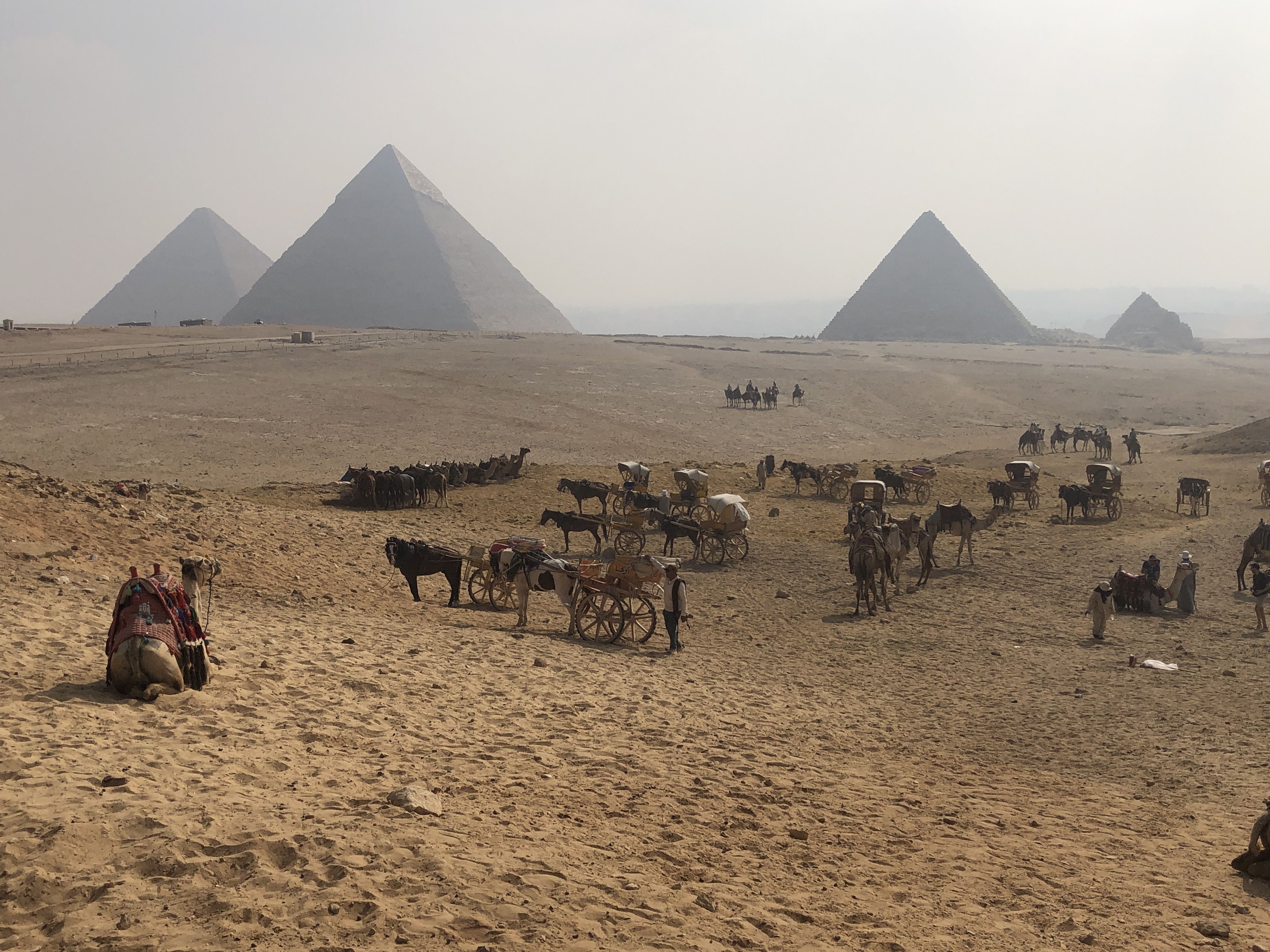 El emperador - Egipto FOTO: Manuel Granell Morte