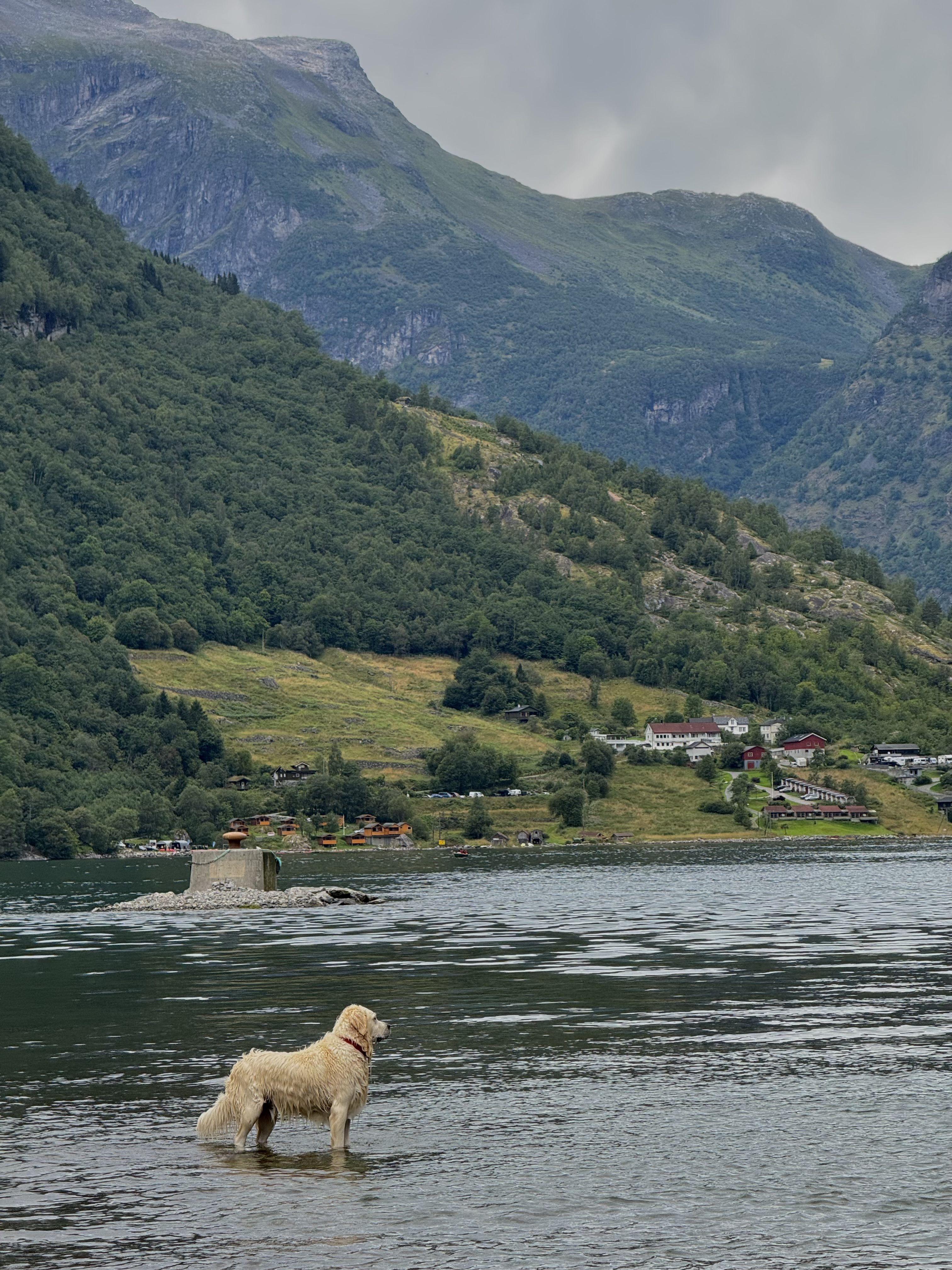 El guàrdia del fiord - Geiranger, Noruega FOTO: Sofía Alcolea Doix