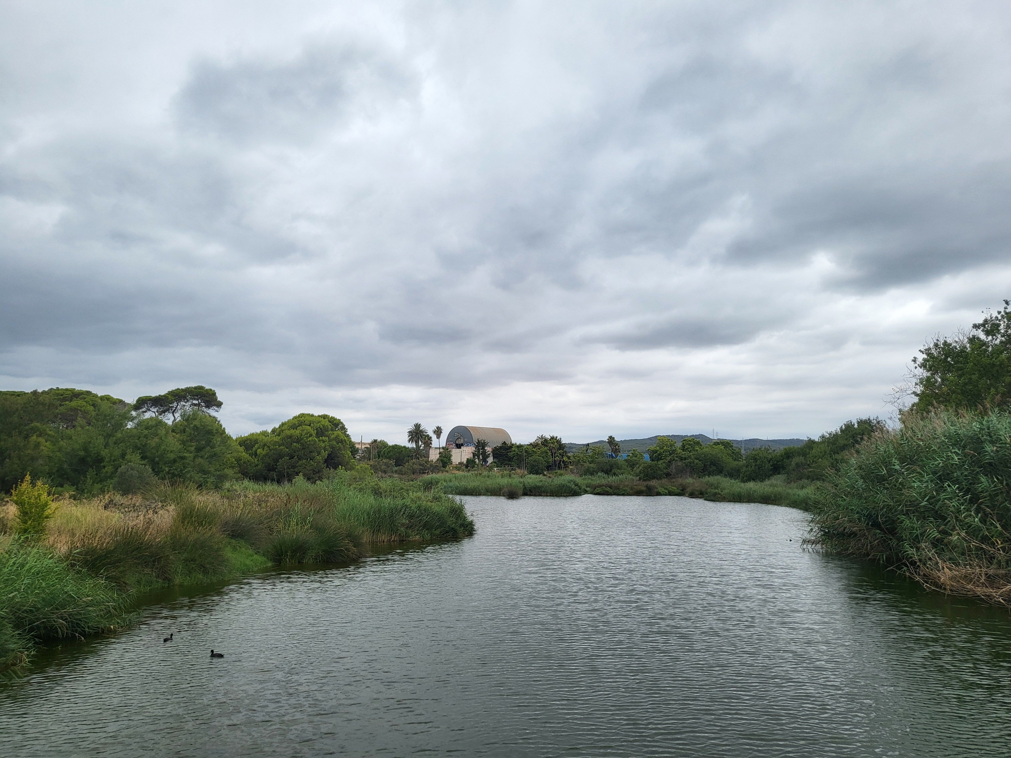 El riu Foix abans de la presa - Cubelles FOTO: Mercedes Martínez Sánchez