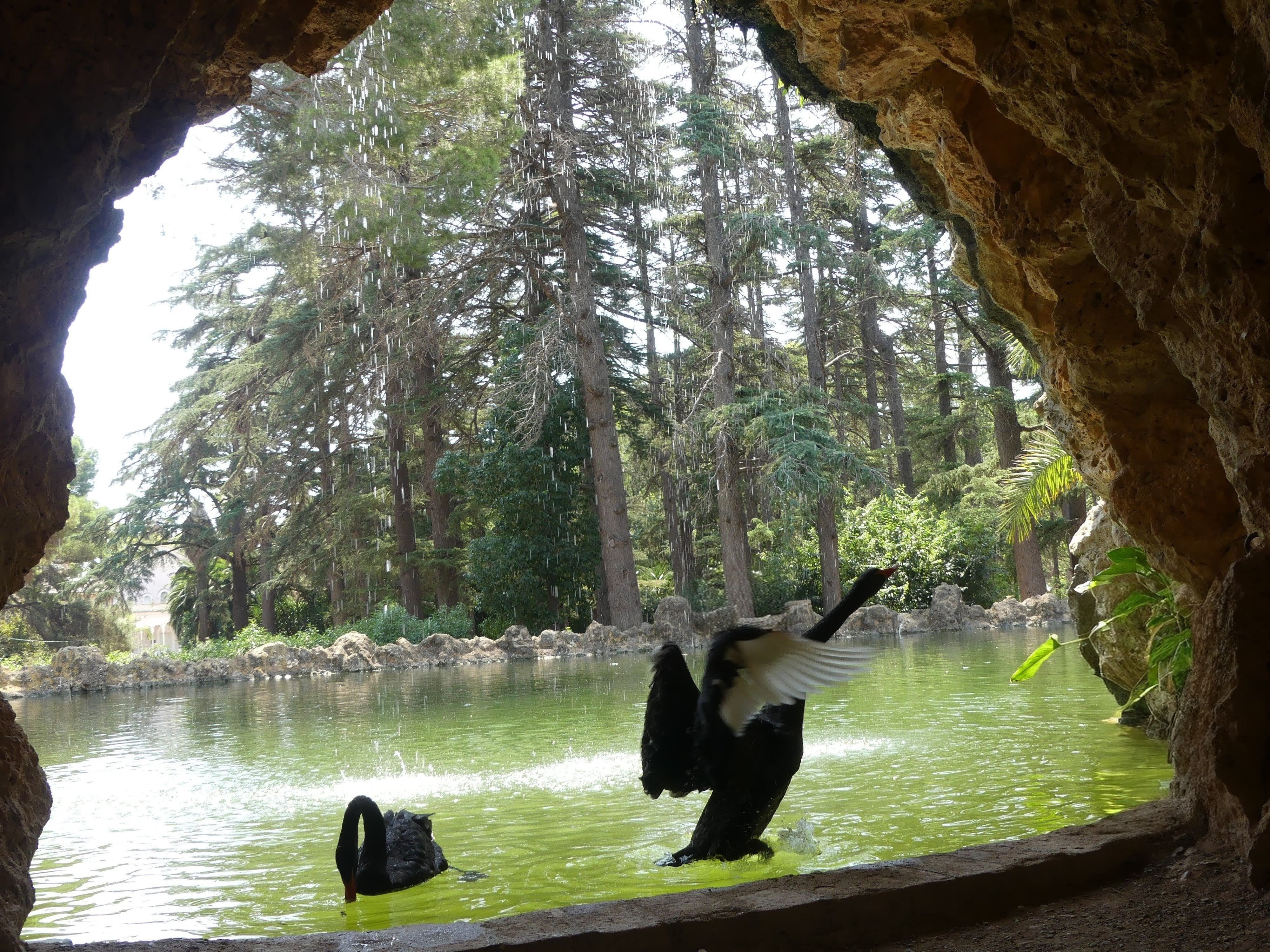El secret de l'aigua amagada - Parc Samà, Cambrils FOTO: Júlia Gelabertó Rey