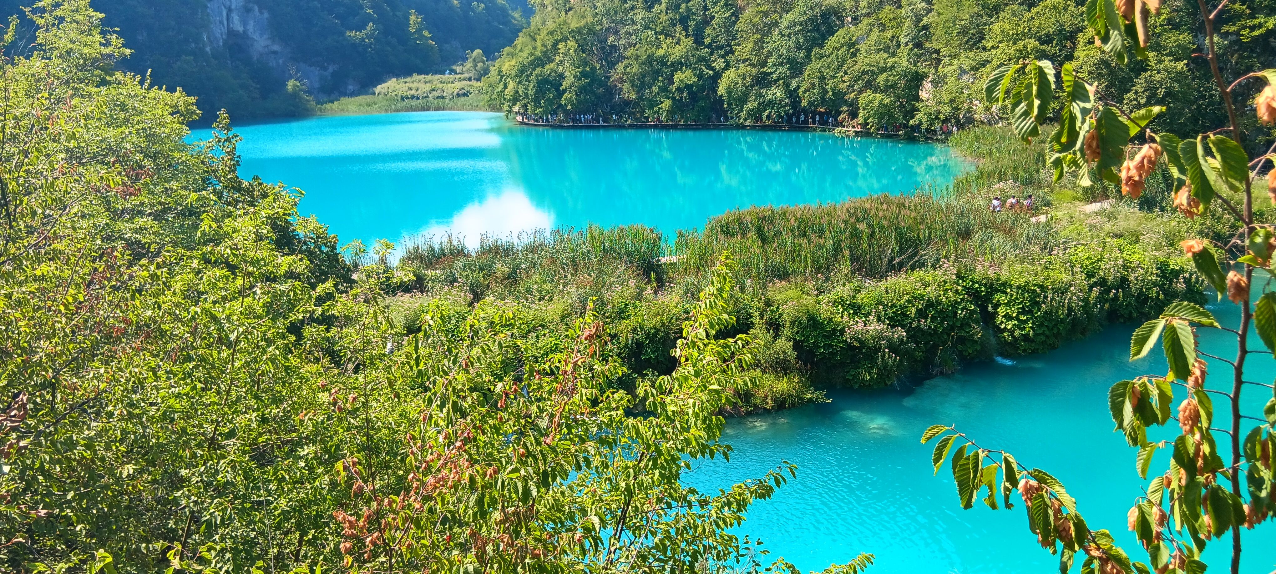 El turquesa en estado puro - Lagos de Plitvice, Croacia FOTO: Esther Criado Ortega 