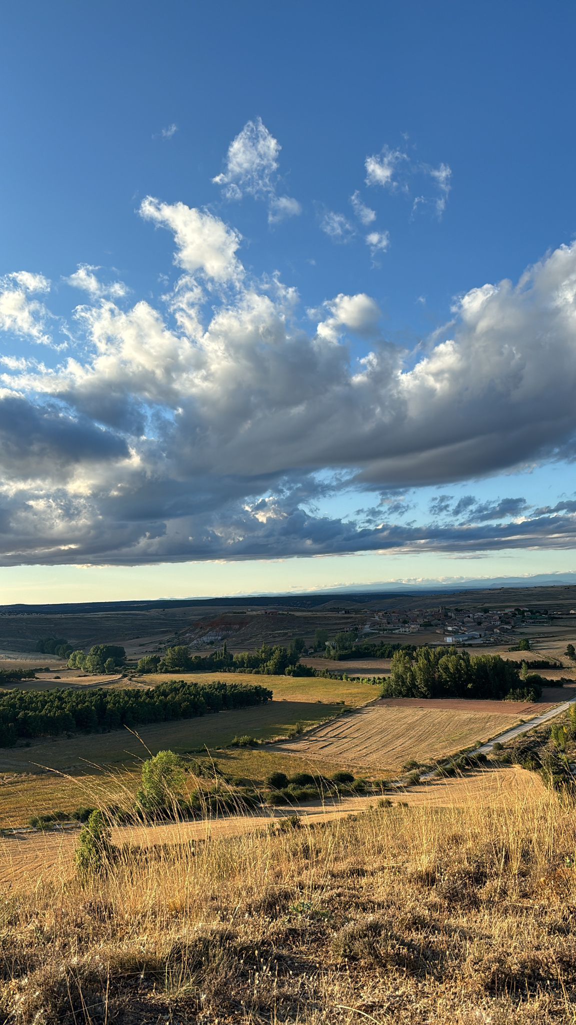 Últims raigs de sol - Arenillas, Sòria FOTO: Esther López Alonso