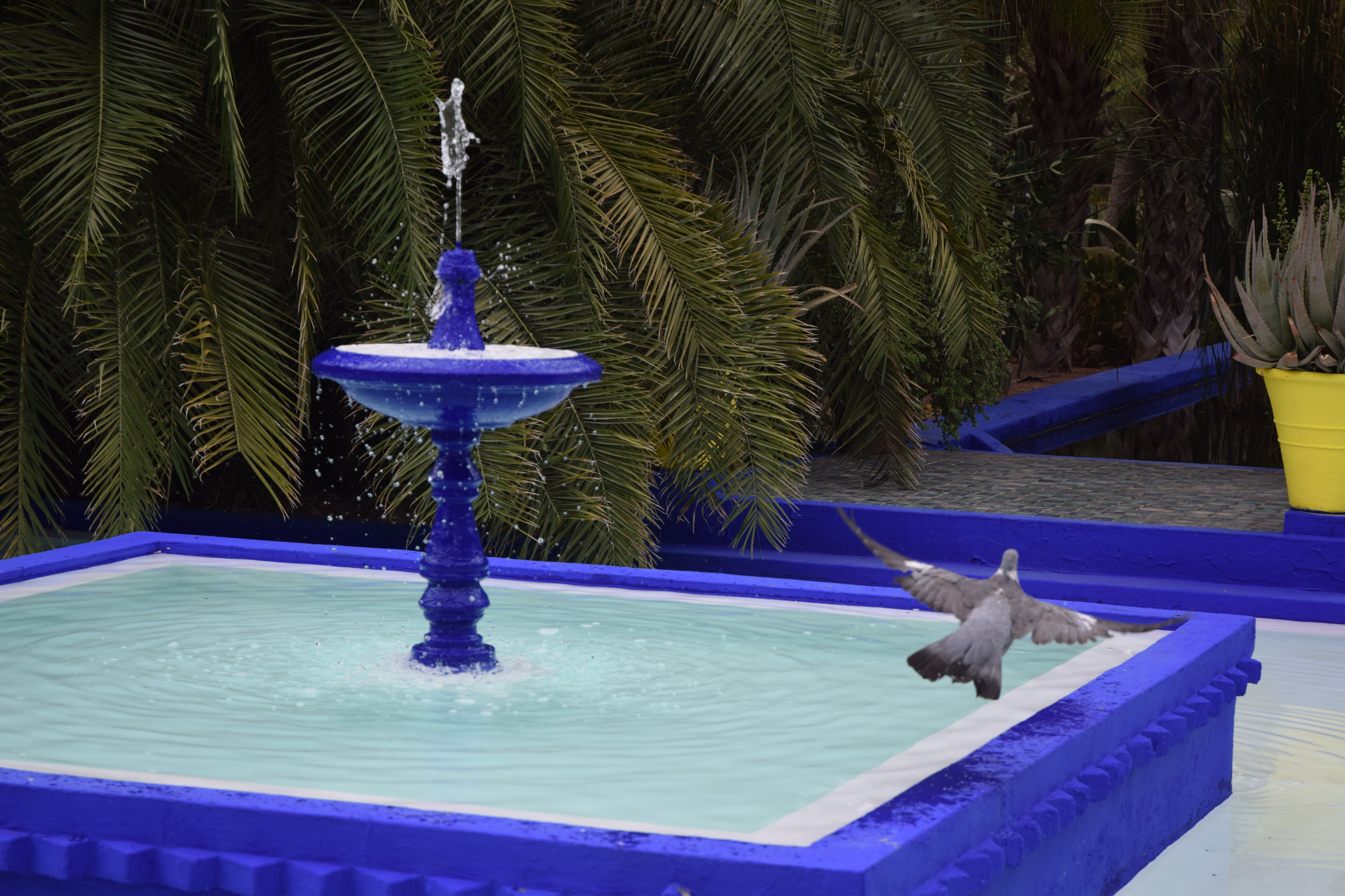 Fuente de colores - Marrakech FOTO: Paola Morato de Rojas