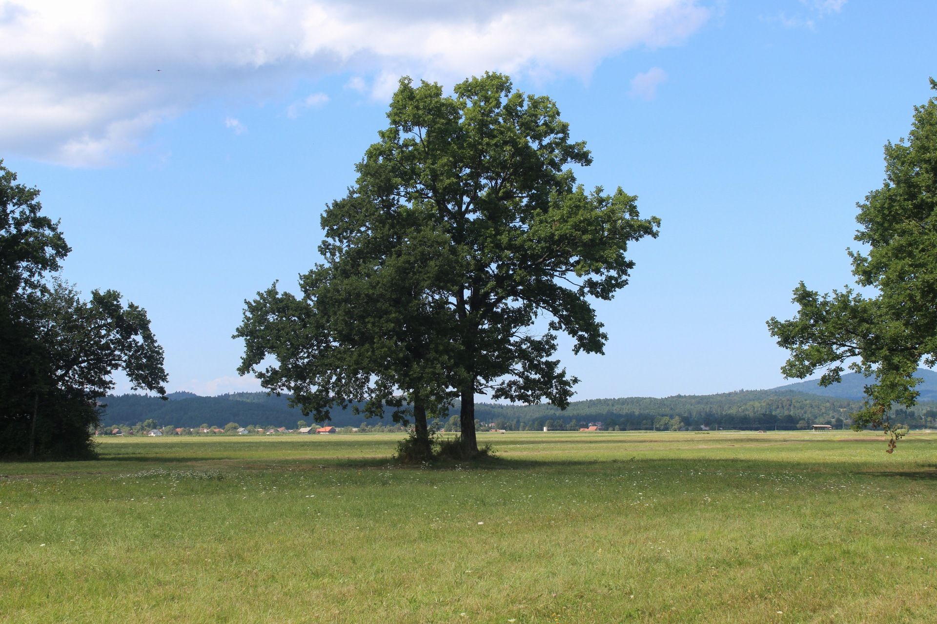 Europa rural - Cerknica, Eslovènia FOTO: Marc Pegueroles i Jiménez
