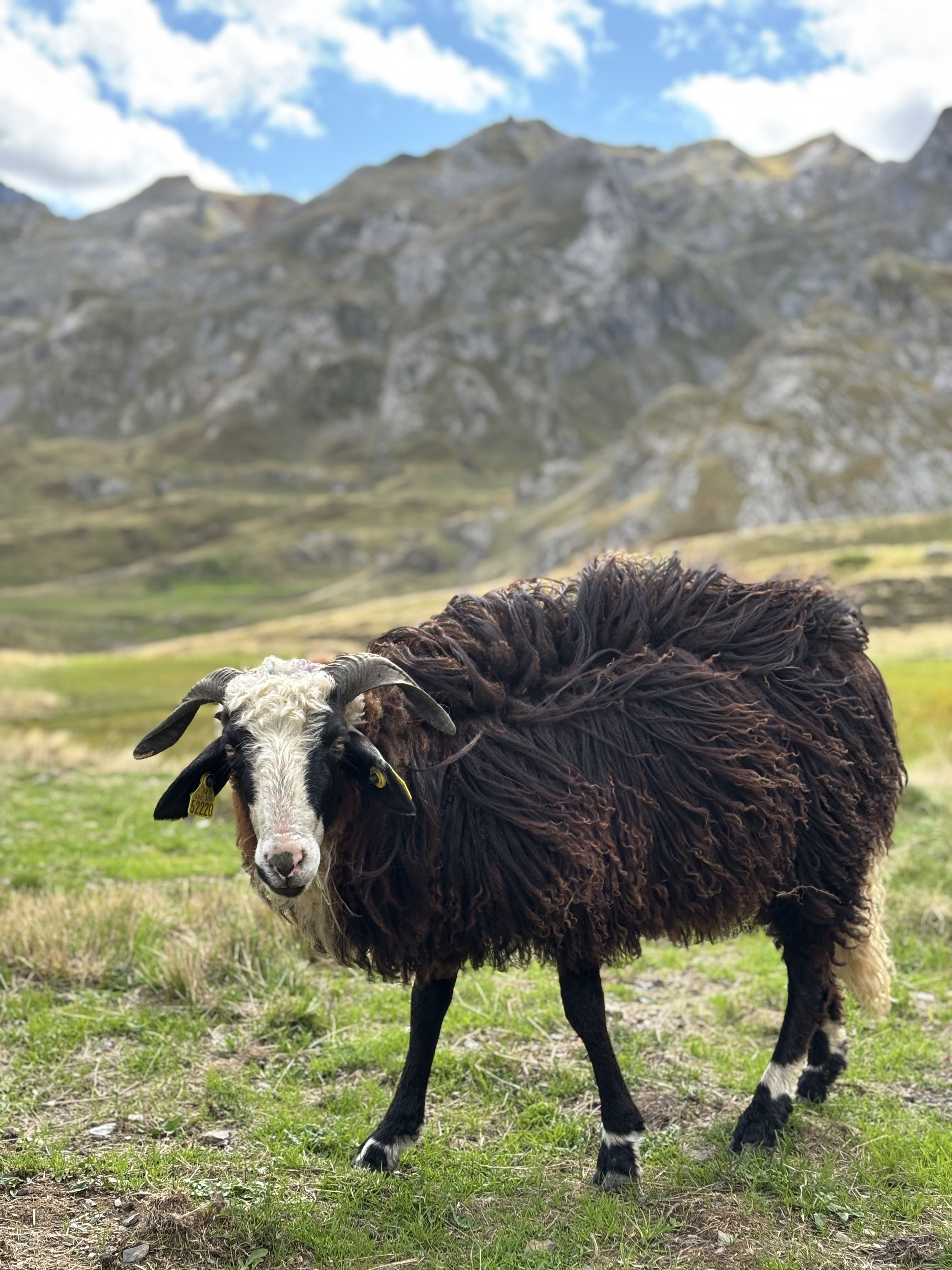 I jo amb aquests cabells - El portalet, França FOTO: Alex Mira Simo 