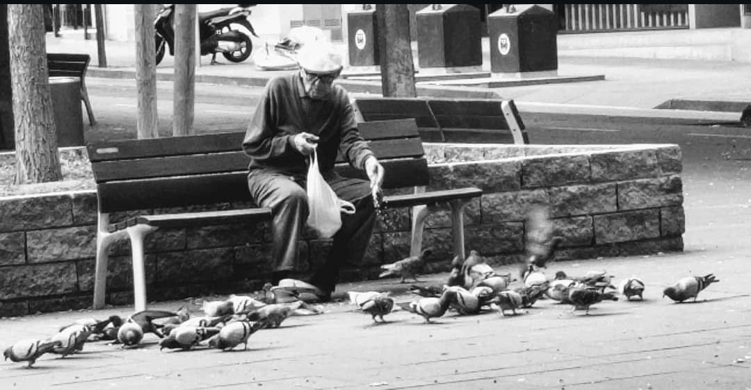 Hora de berenar - Rambla del celler FOTO: Xènia Martin Fernández 
