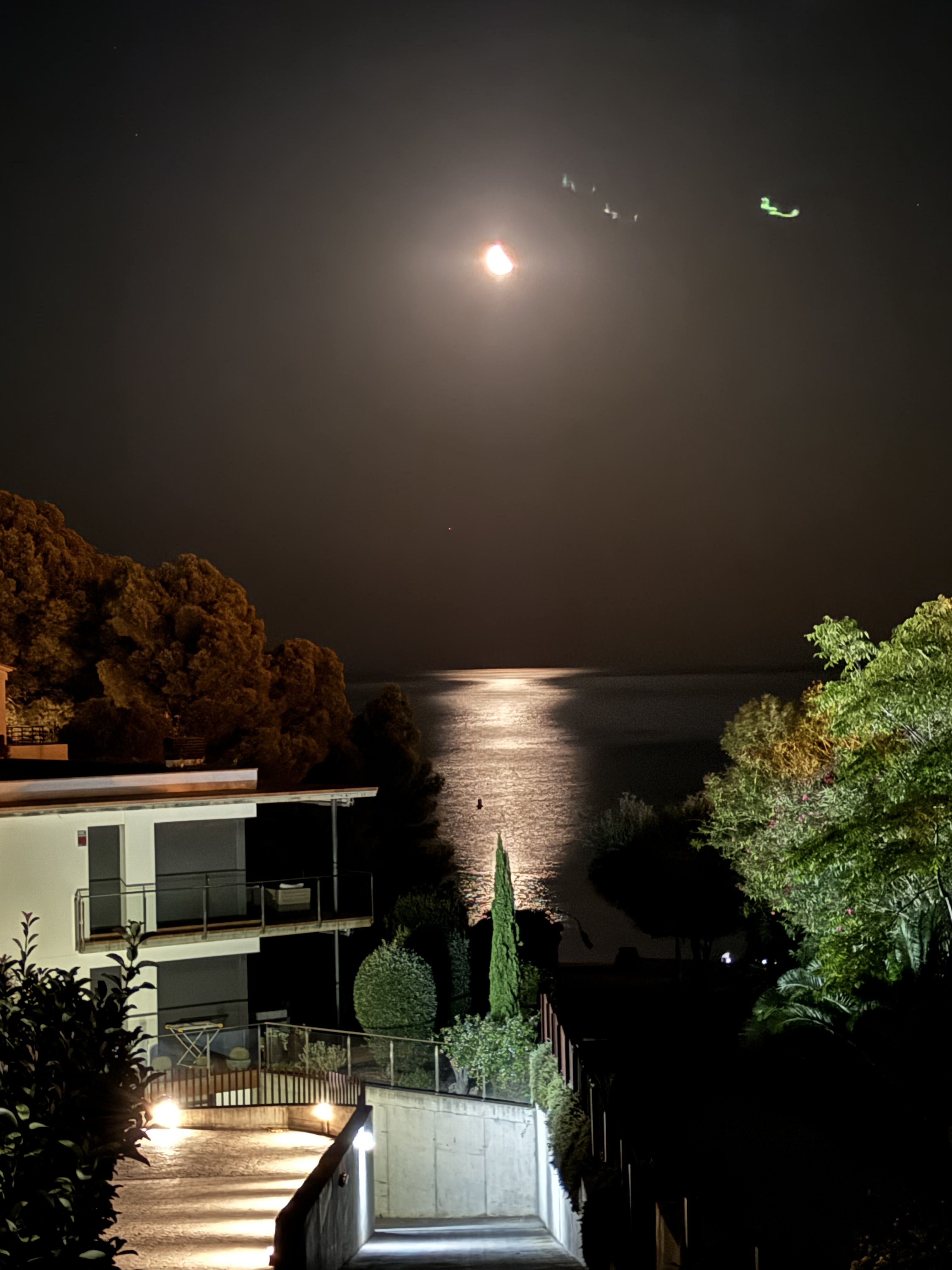 Gu¡a nocturna - Llançà, Girona FOTO: Paco Zarate Miranda 