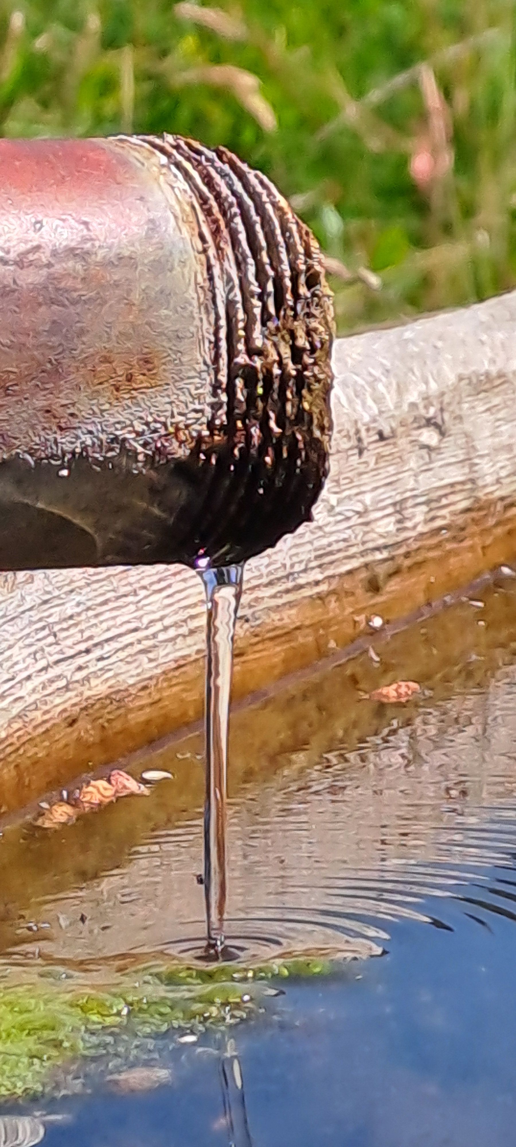 Frescor - Ransol, Andorra FOTO: Dominique Heathcote