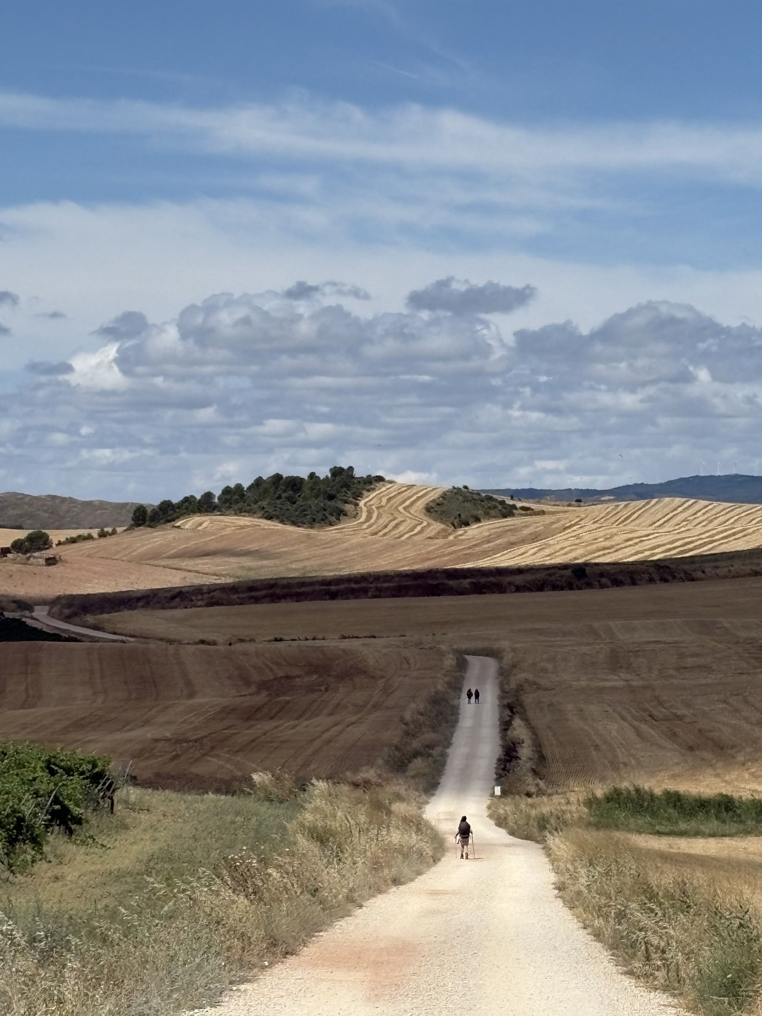Fent camí -  Logroño FOTO: Alexandre Juncosa Hurtado