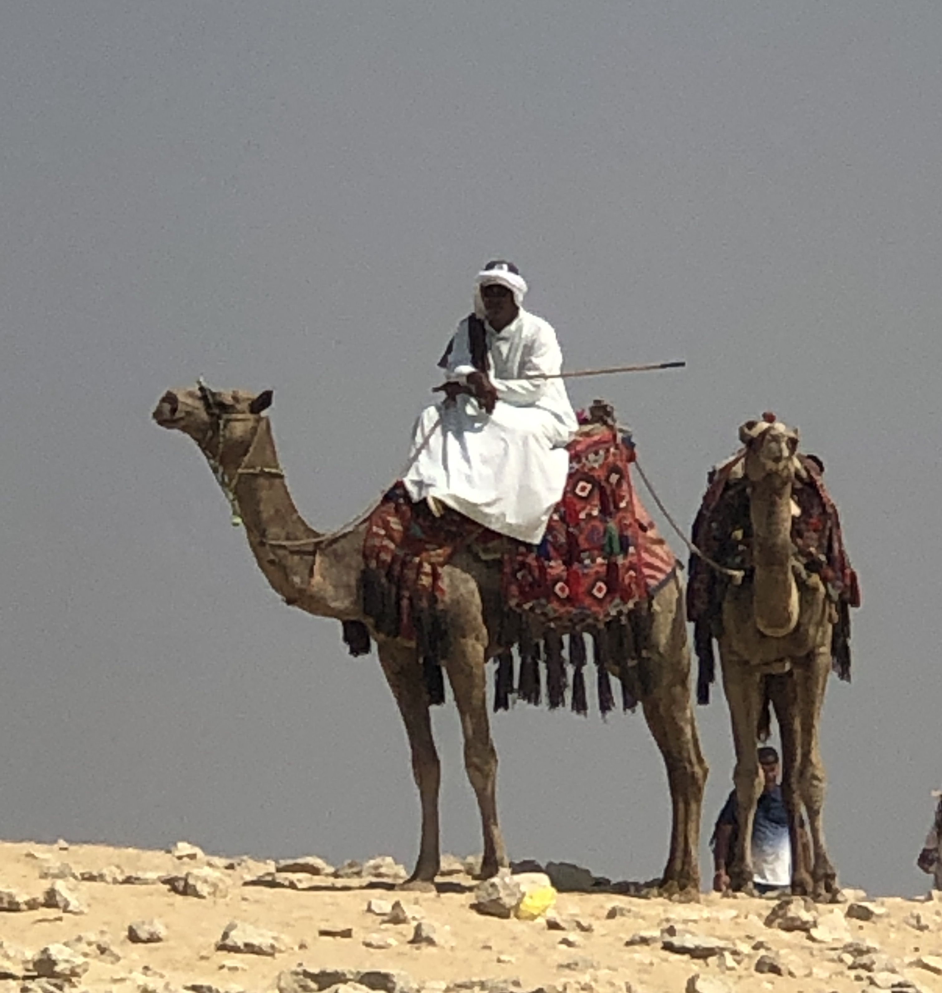 Fa molt temps - Egipto FOTO: Manuel Granell Morte