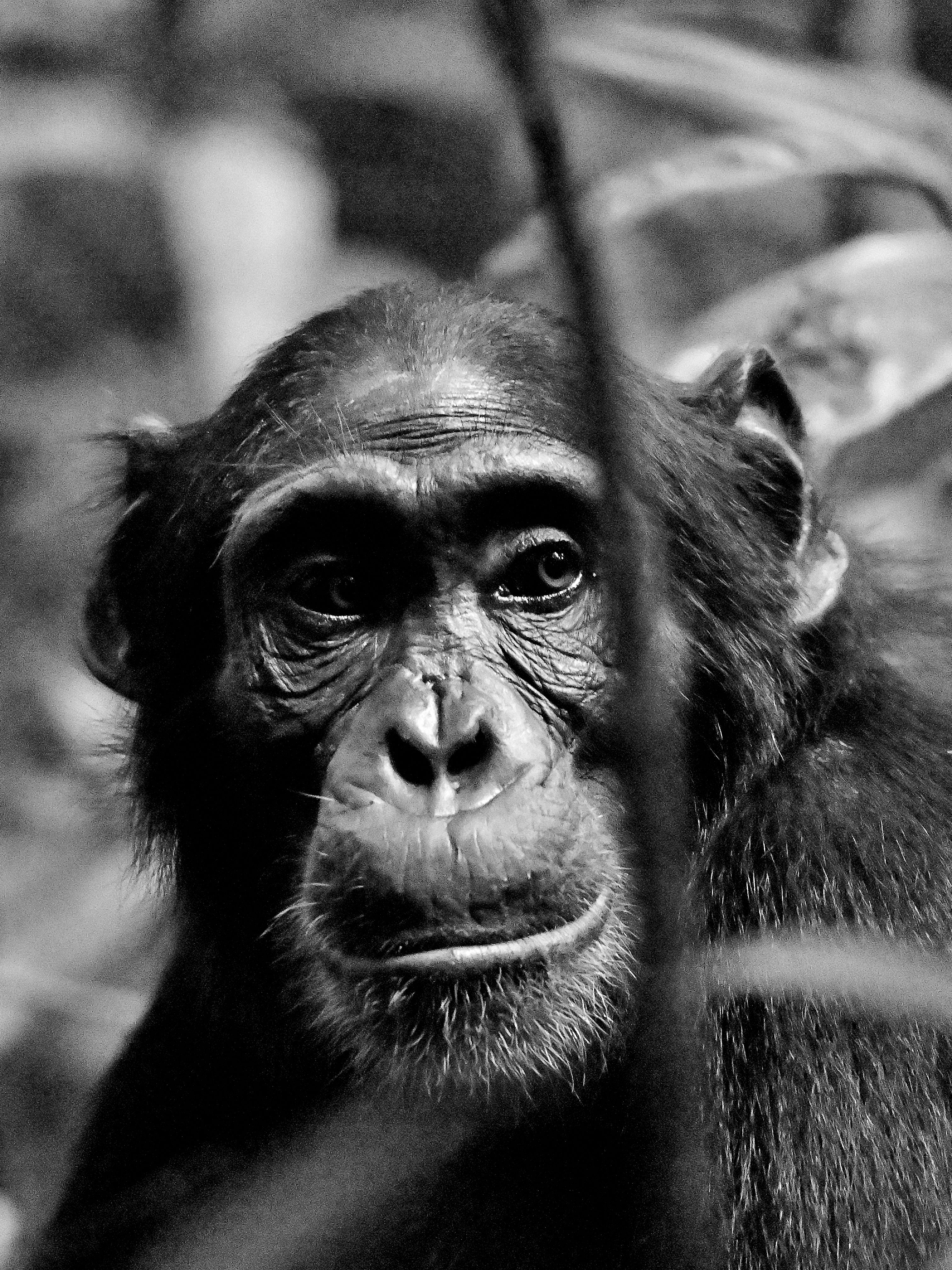 Evolució o retrocés? - Uganda FOTO: Jesus Fonrodona de Arcos