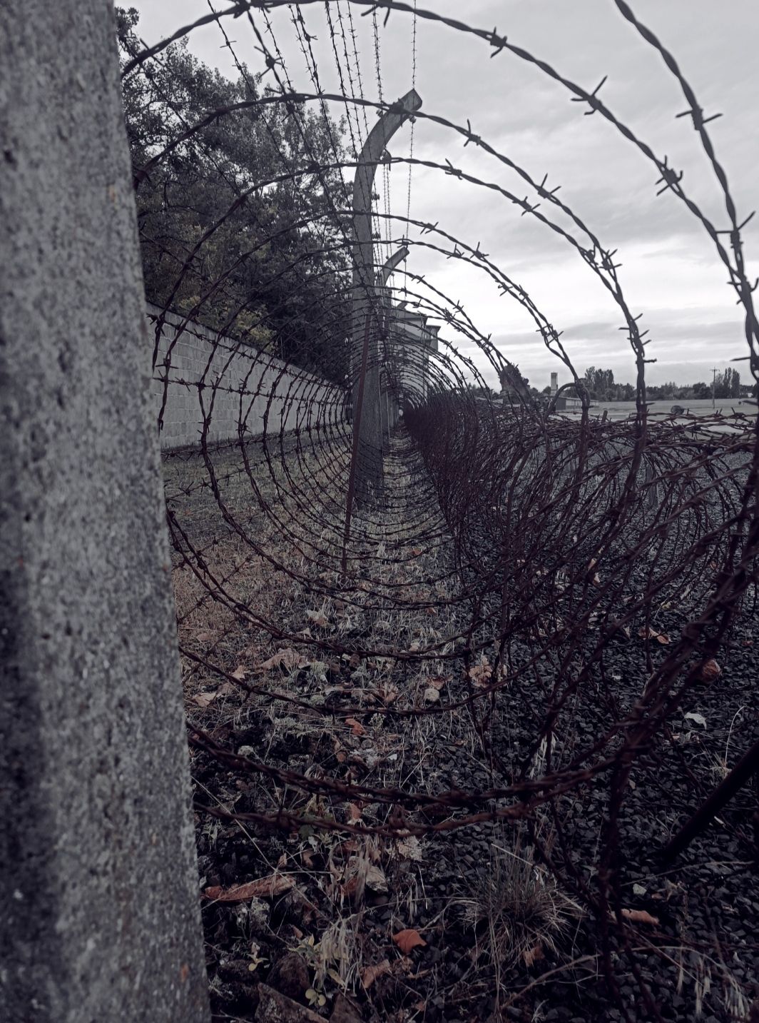 Estiu cálid, ferida freda - Camp de concentraci¢ de Sachsenhausen, Berlín FOTO: María del Mar Gil Chamizo 